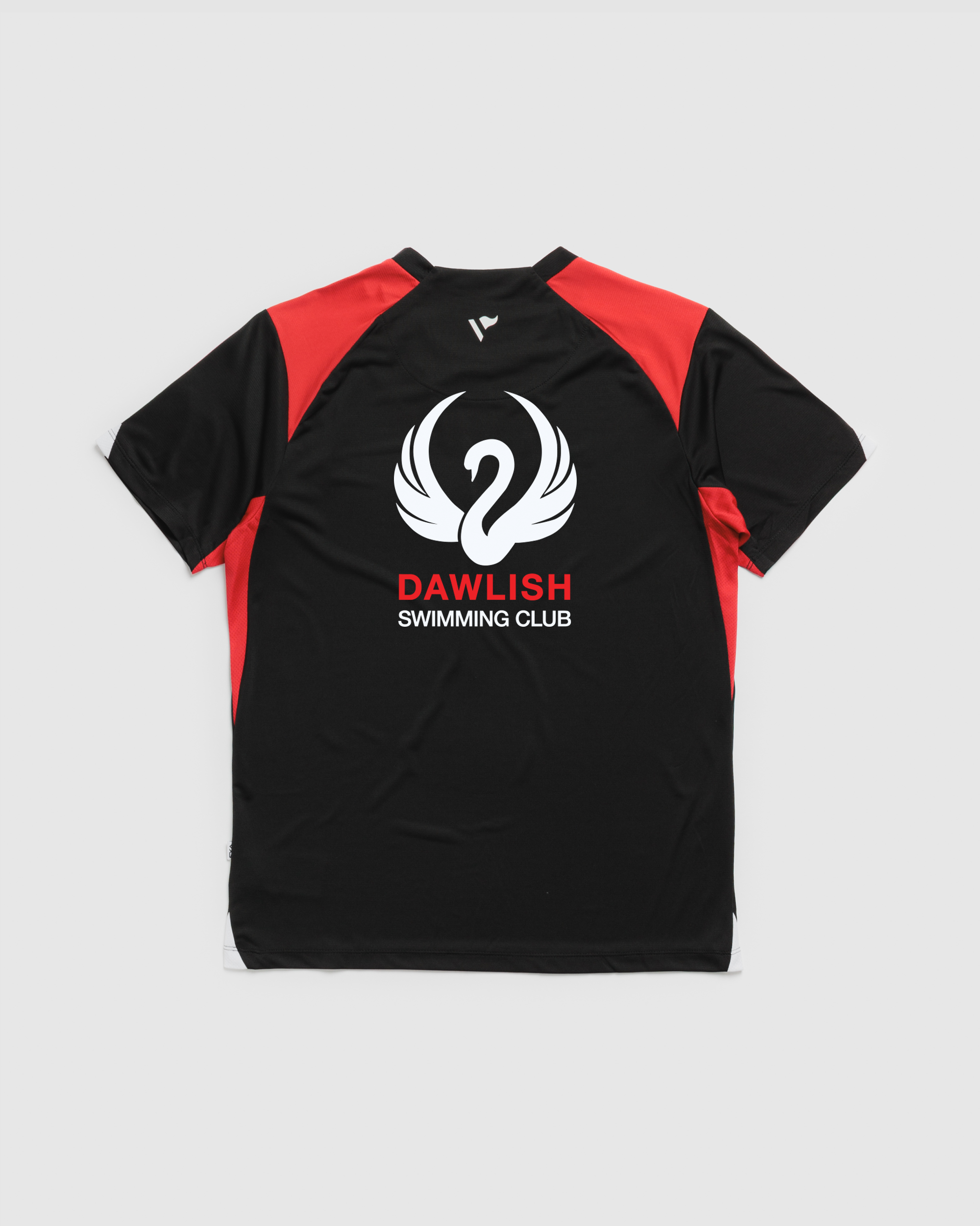 Dawlish-Swimming-Vertex-Tee-Backprint.png