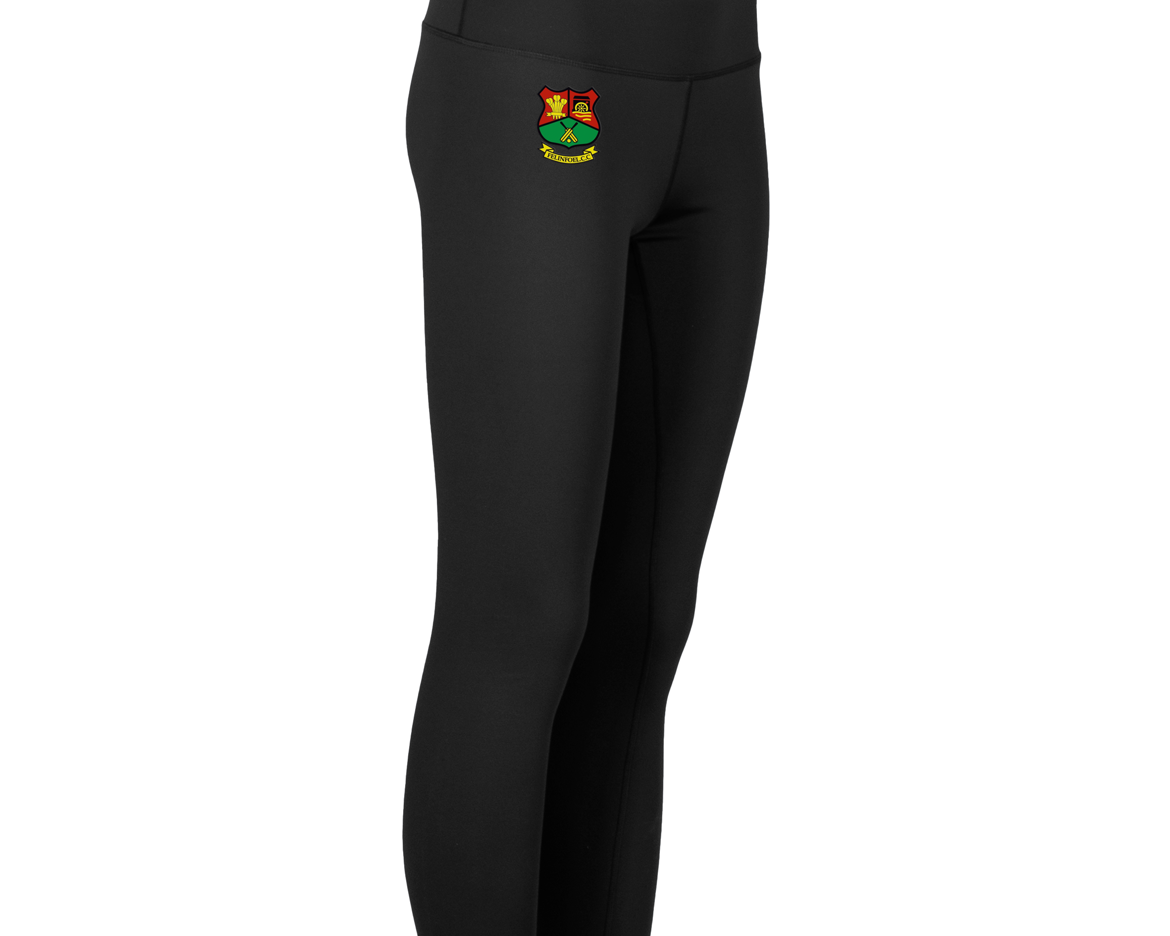 FelinfoelCCACTISSIDE_b3bbe77e-545a-4d37-9afd-cce0b48bef2f.png