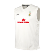 Hayle Cricket Club Elite Slipover