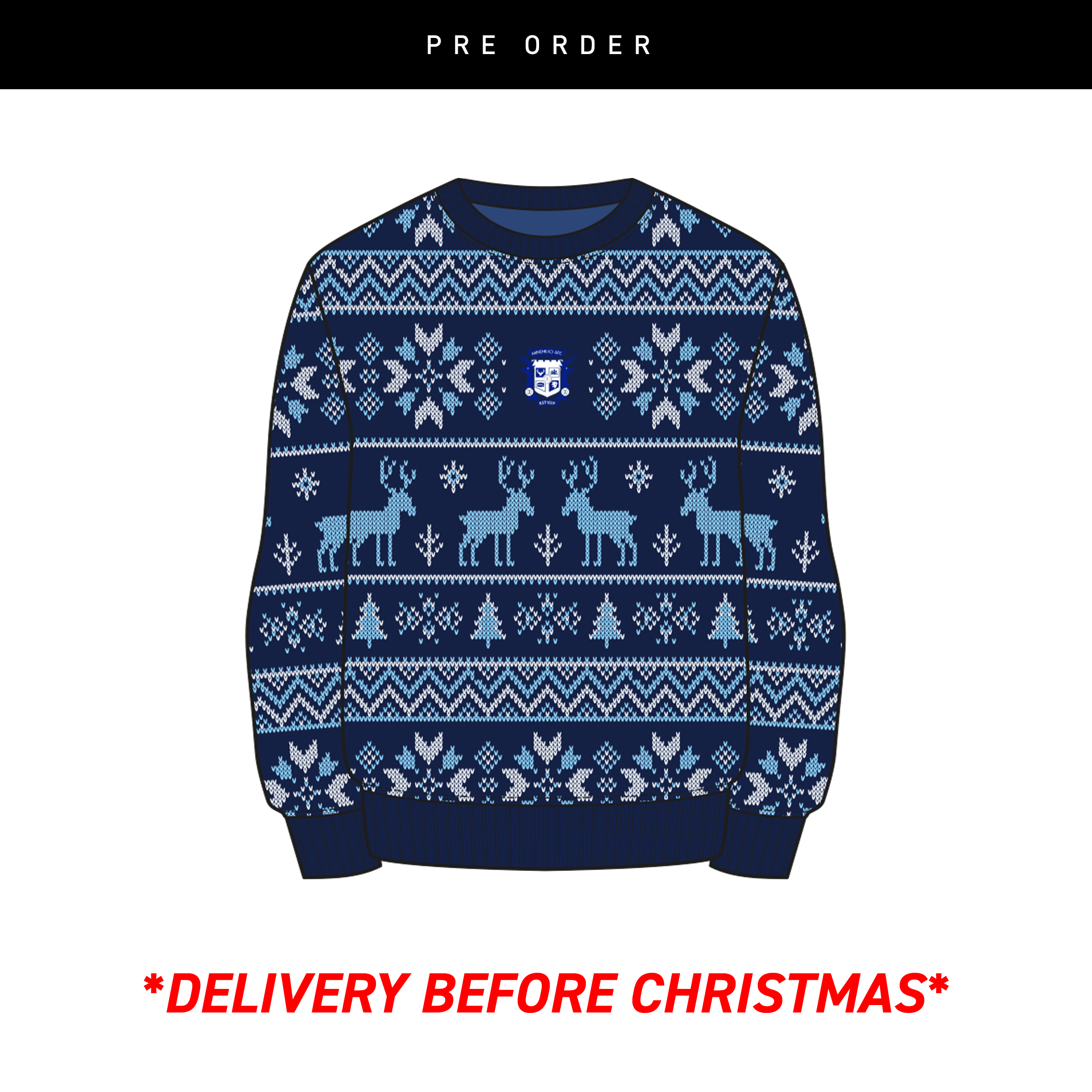 Minehead-AFC-Christmas-Jumper.png
