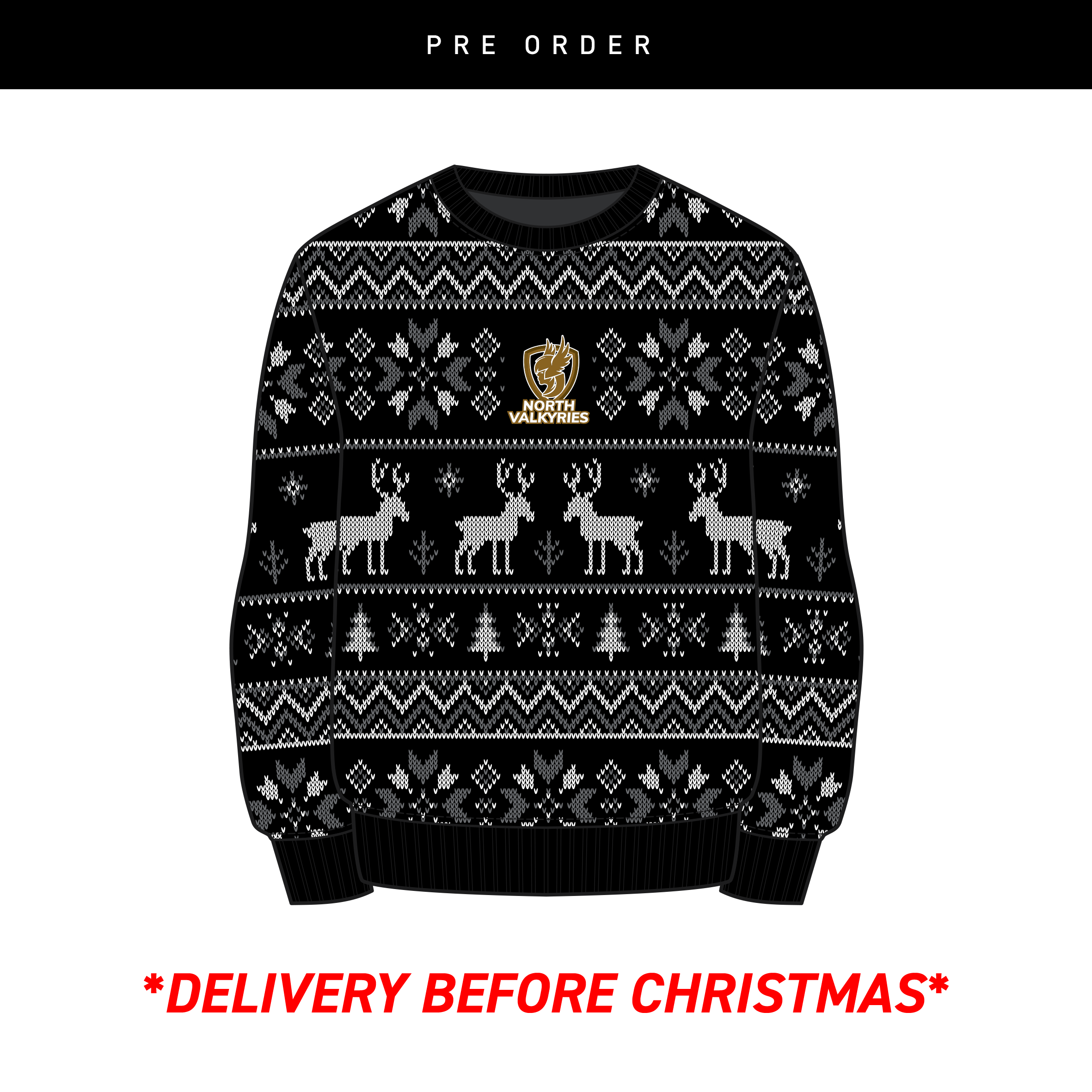 NorthValkyriesxmasjumper_7a33b15e-7064-4a8d-aa85-e22b8163f15d.png