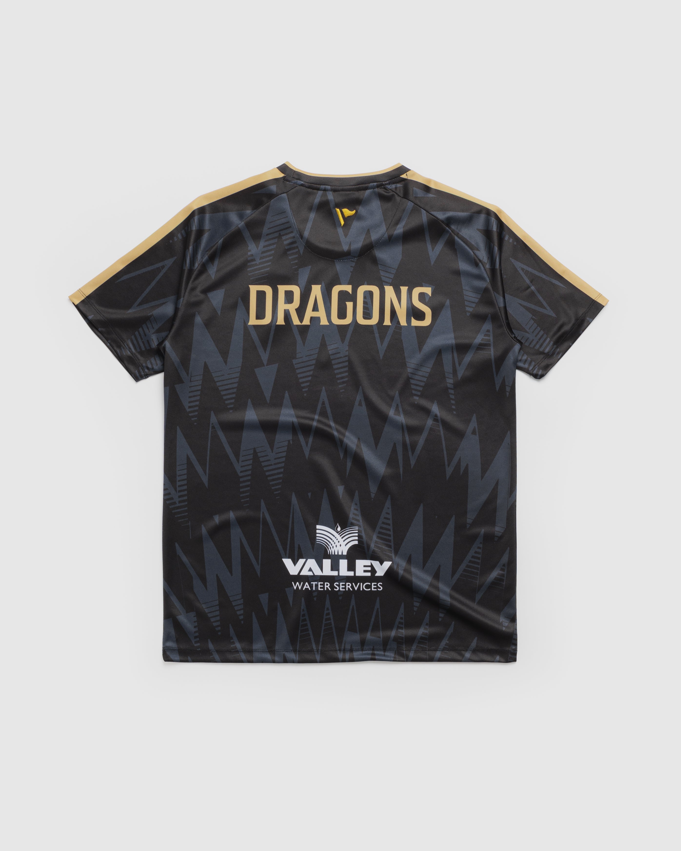 Dragons RFC 26/27 Away Warm Up Tee