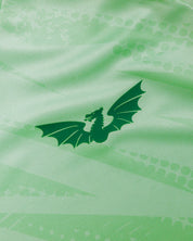 Scarlets 26/27 Warm Up Tee Bright Mint/Dark Mint