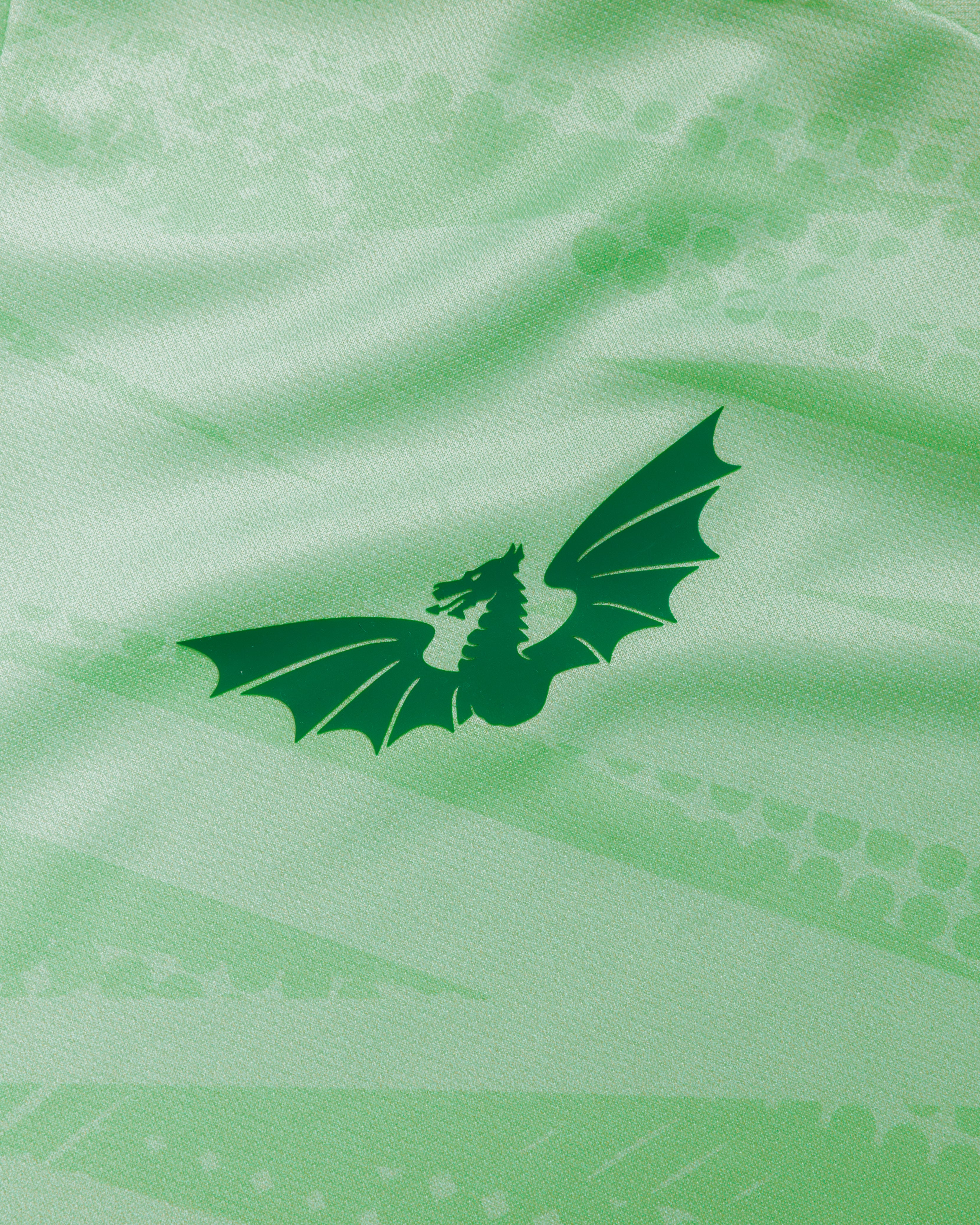 Scarlets 26/27 Warm Up Tee Bright Mint/Dark Mint