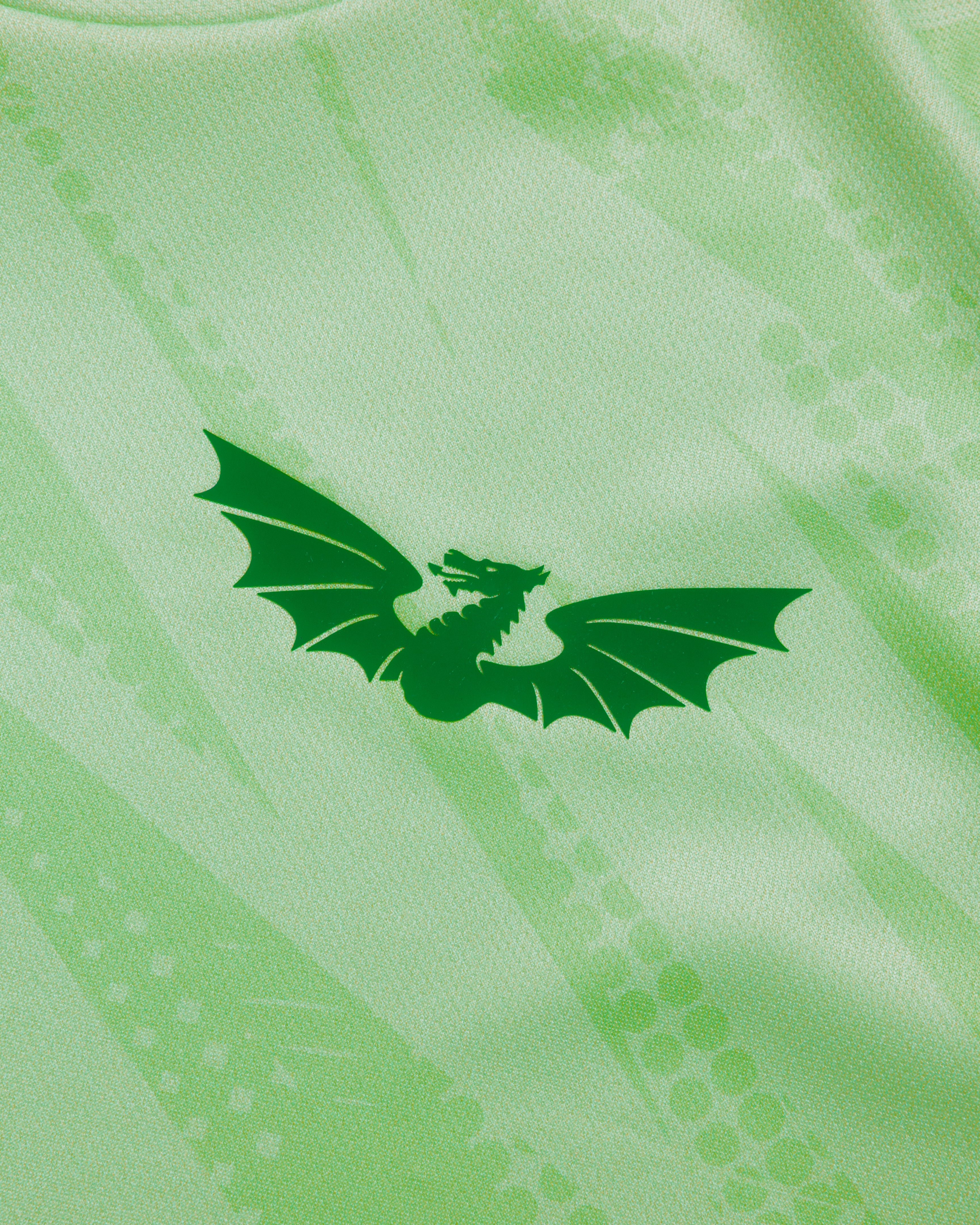 Scarlets 26/27 Warm Up Tee Youth Bright Mint/Dark Mint