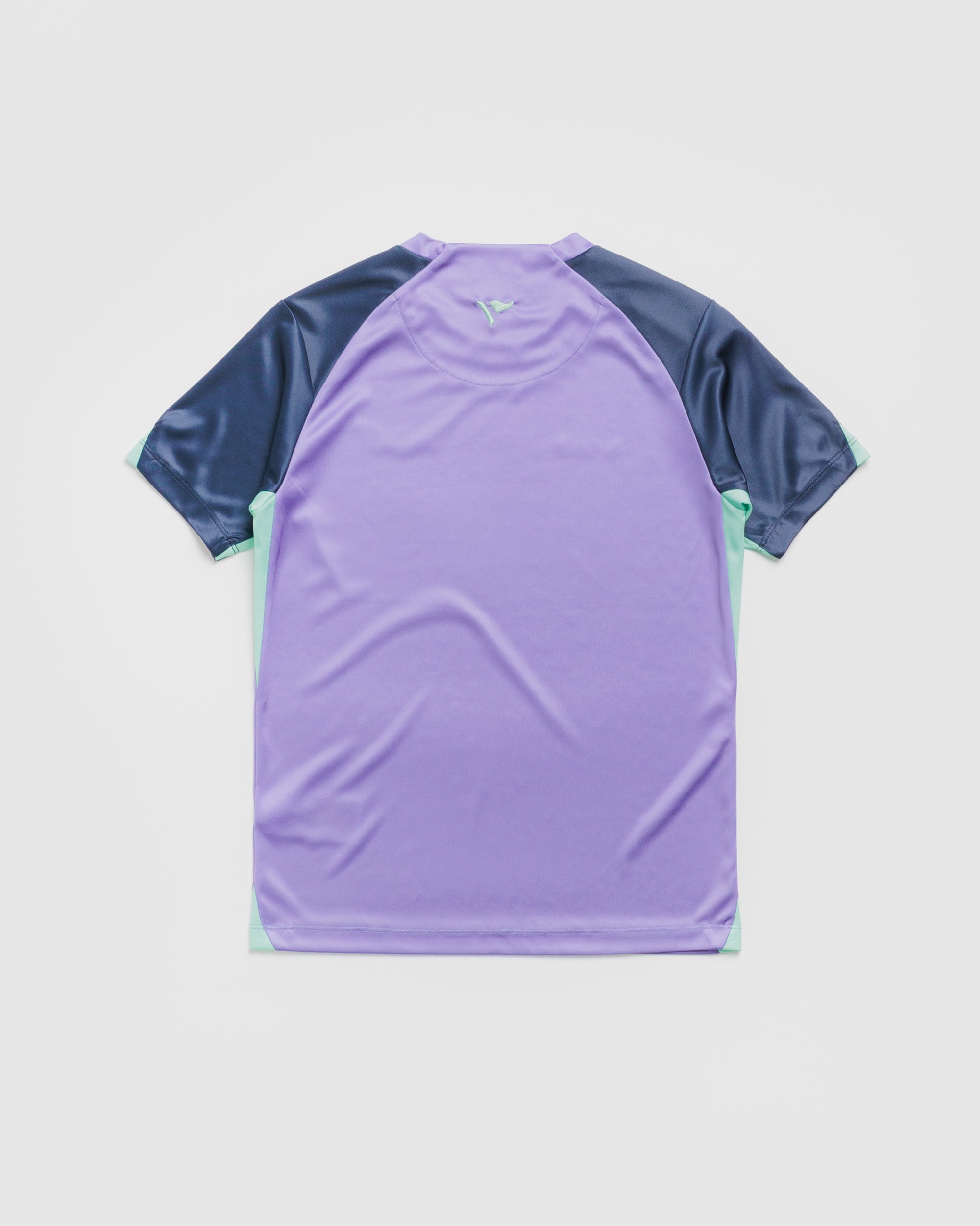 Scarlets 26/27 Vertex Training Tee Dusted Peri/Navy/Bright Mint