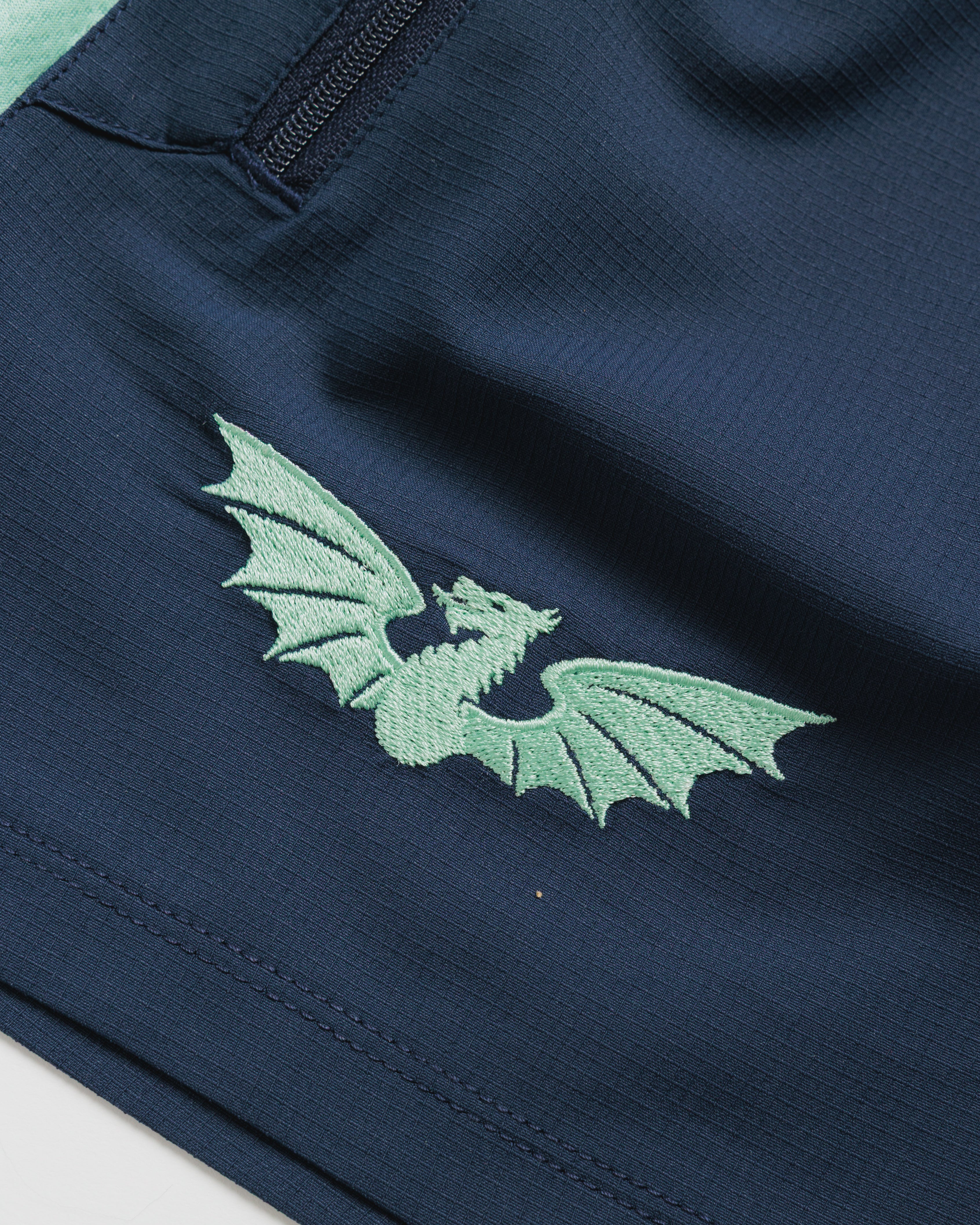 Scarlets 26/27 Vertex Gym Shorts Youth