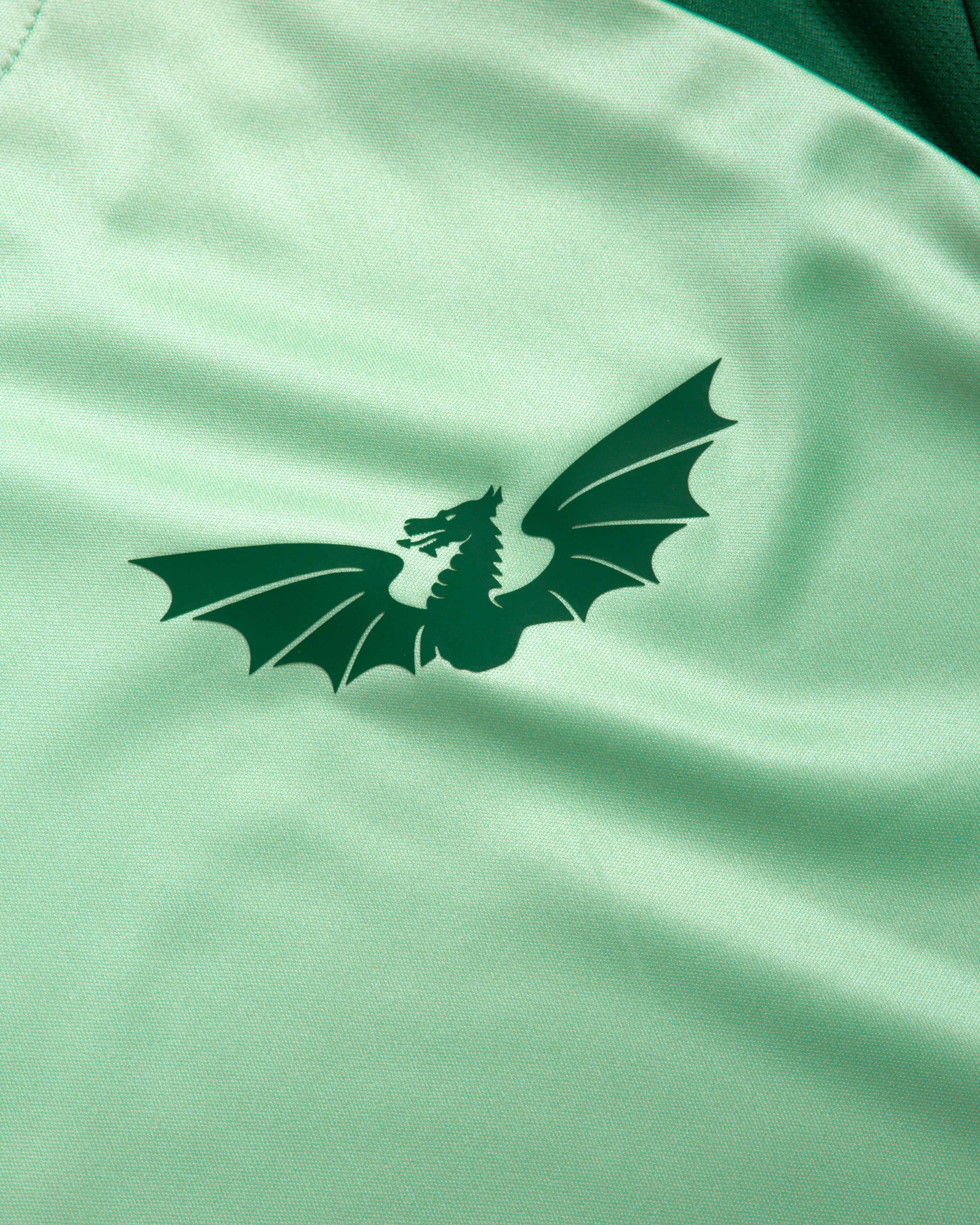 Scarlets 26/27 Vertex Training Tee Bright Mint/Sage