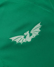 Scarlets 26/27 Vertex Polo Shirt