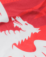Scarlets 26/27 Towel