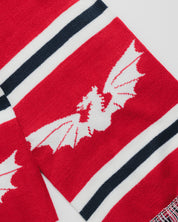 Scarlets 26/27 Scarf