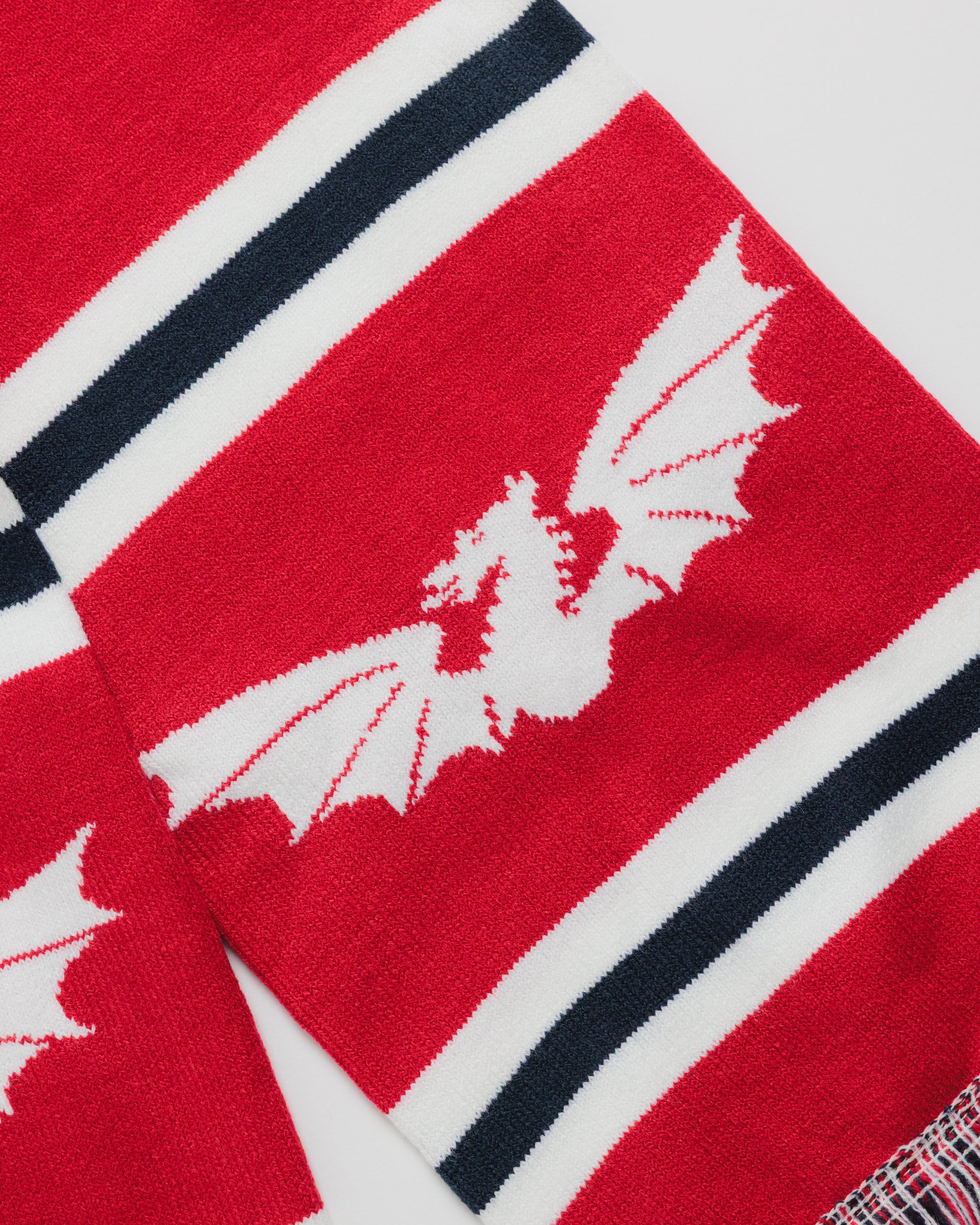 Scarlets 26/27 Scarf