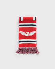 Scarlets 26/27 Scarf