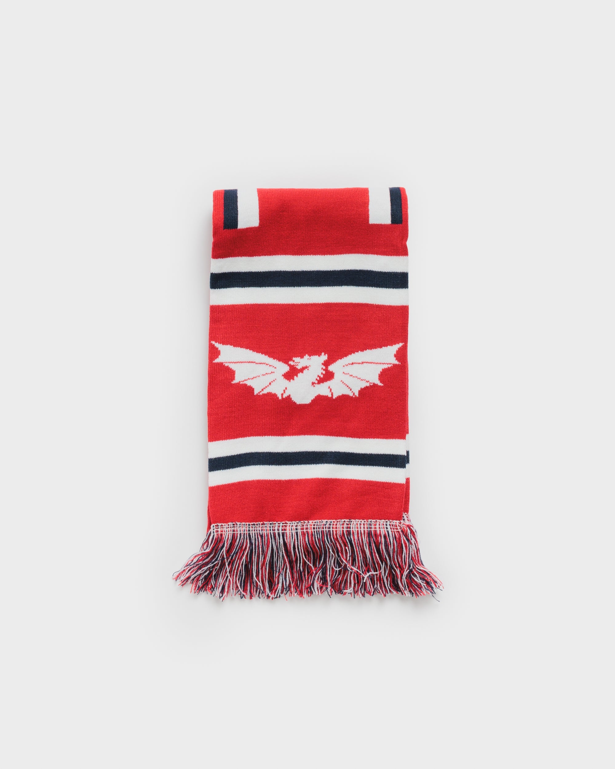 Scarlets 26/27 Scarf
