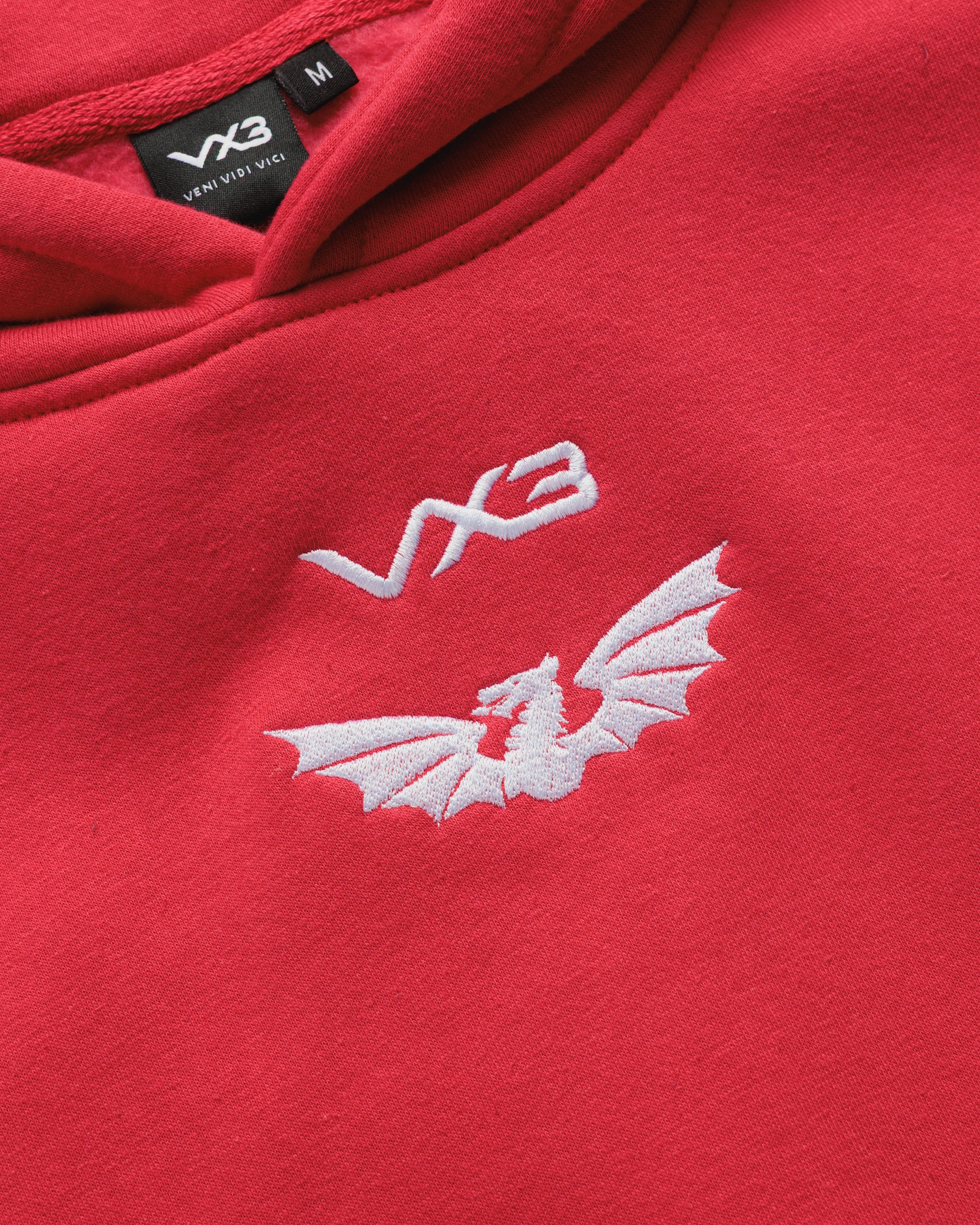 Scarlets 26/27 Core Hoodie