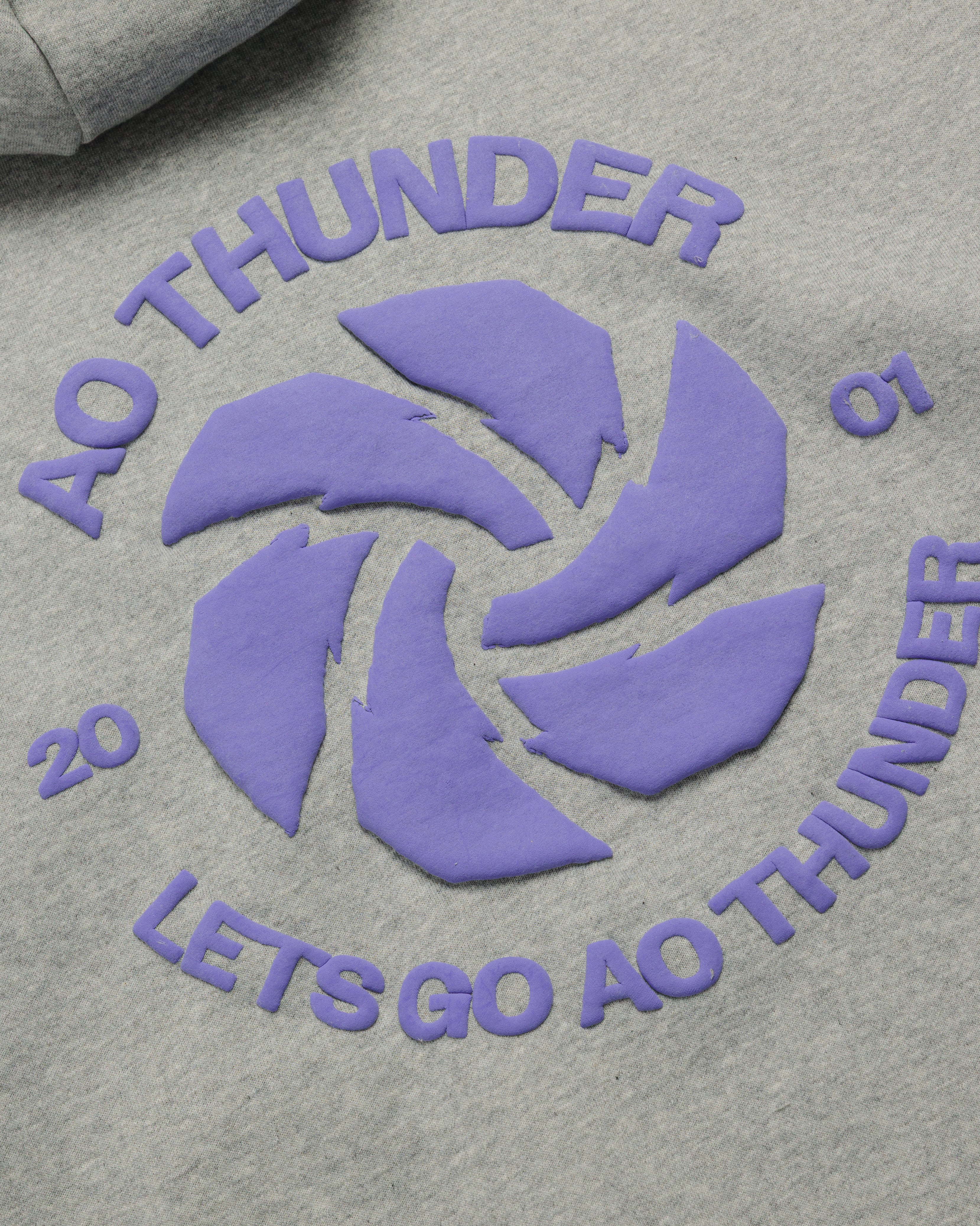 AO Thunder 2027 Conquer Hoodie Womens Grey Marl/Purple