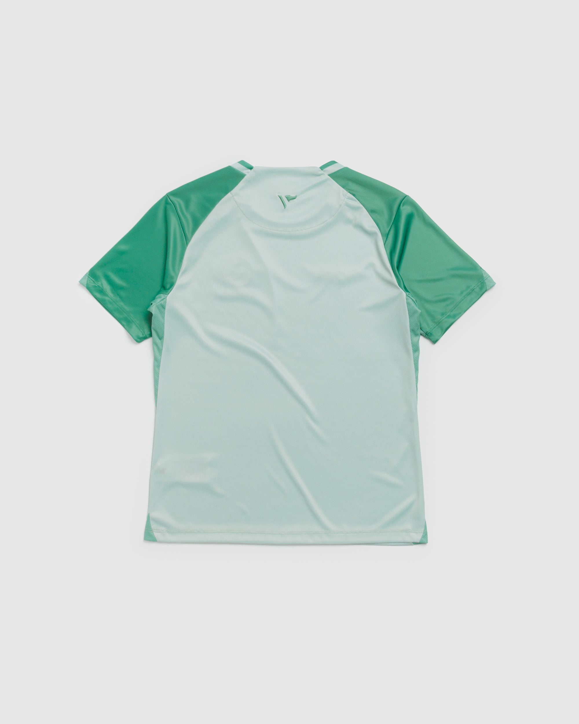 Dragons Netball 2027 Vertex Training Tee Womens Pale Sage/Dark Sage/Sage