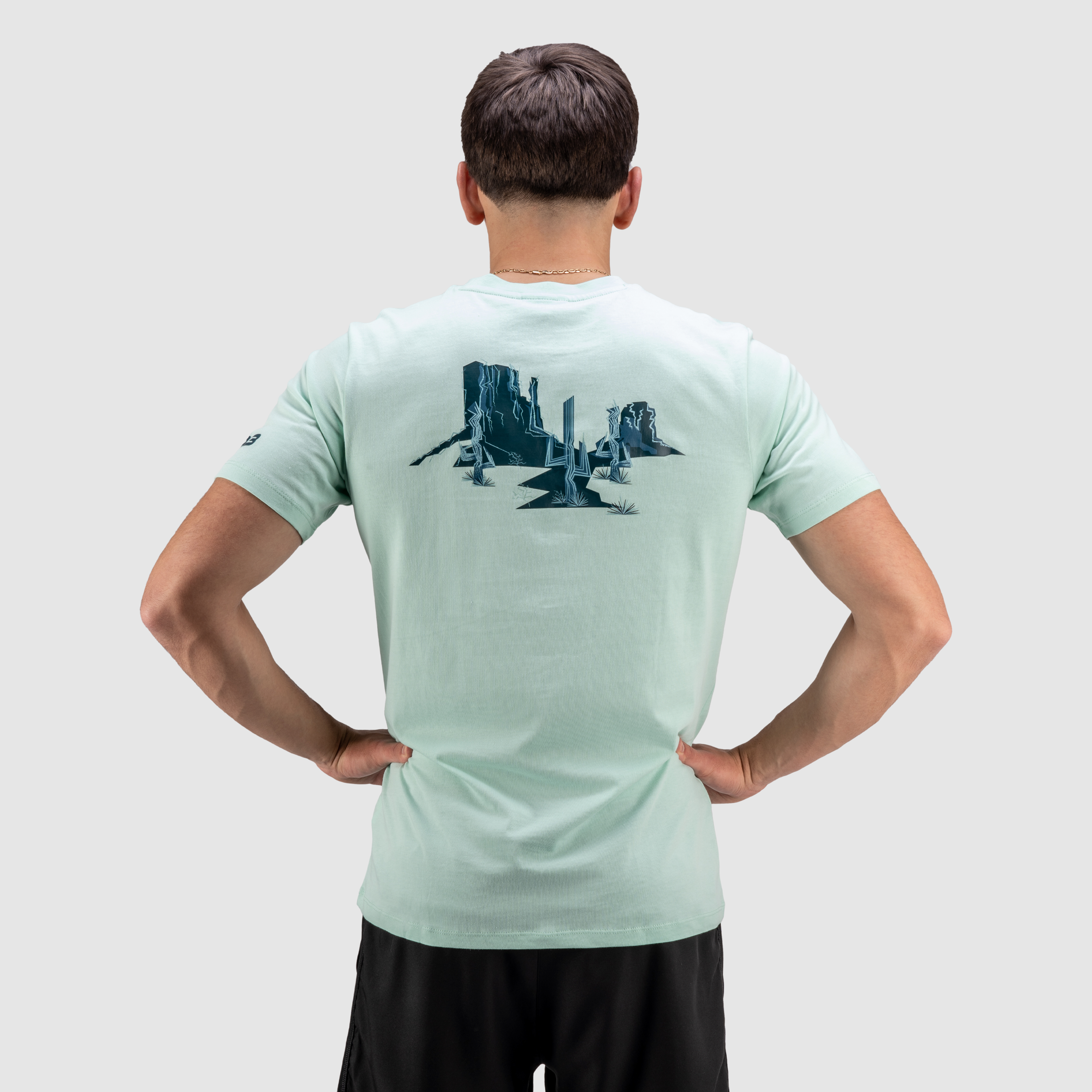 Arizona Desert Tee- Aloe