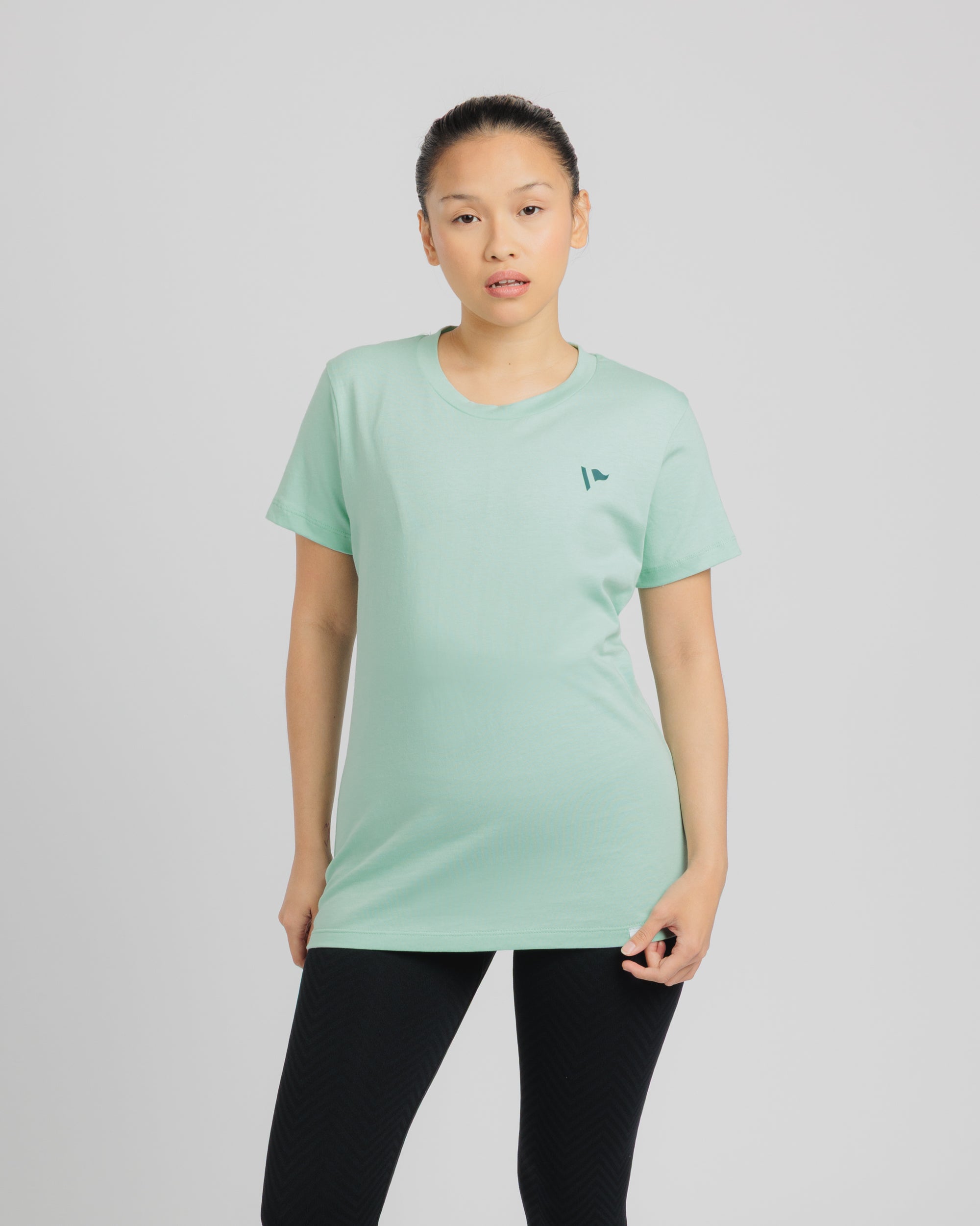 Arizona Desert Womens Tee- Aloe