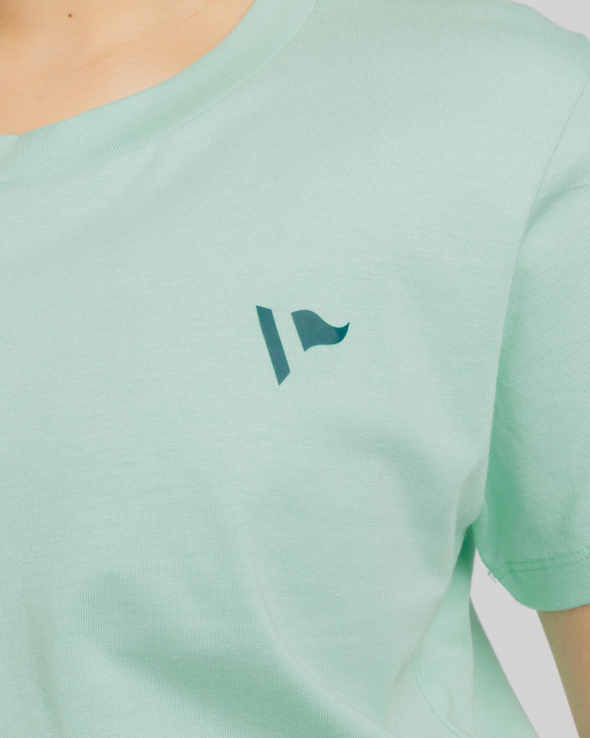 Arizona Desert Womens Tee- Aloe