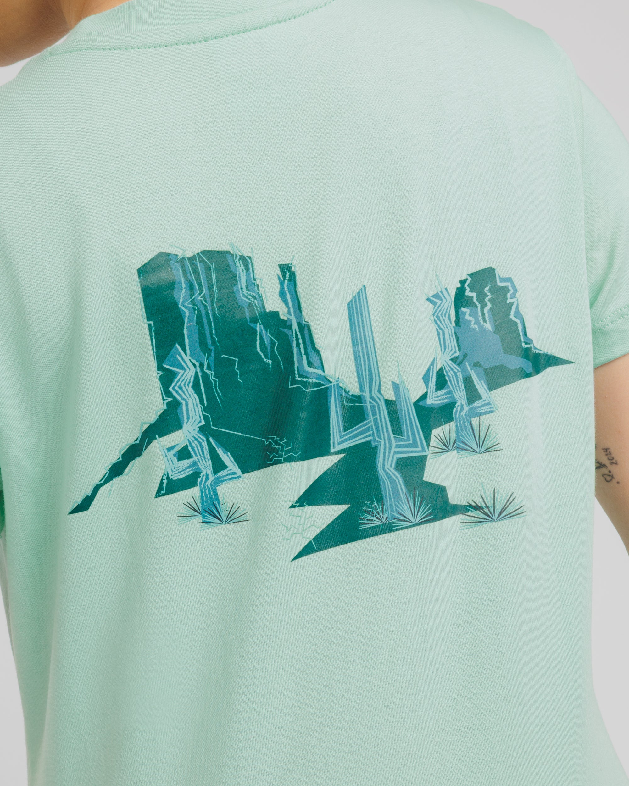 Arizona Desert Womens Tee- Aloe