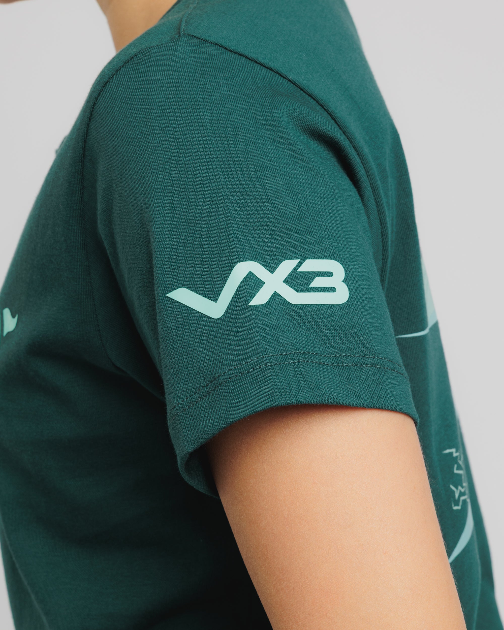 Arizona Desert Womens Tee- Saguaro