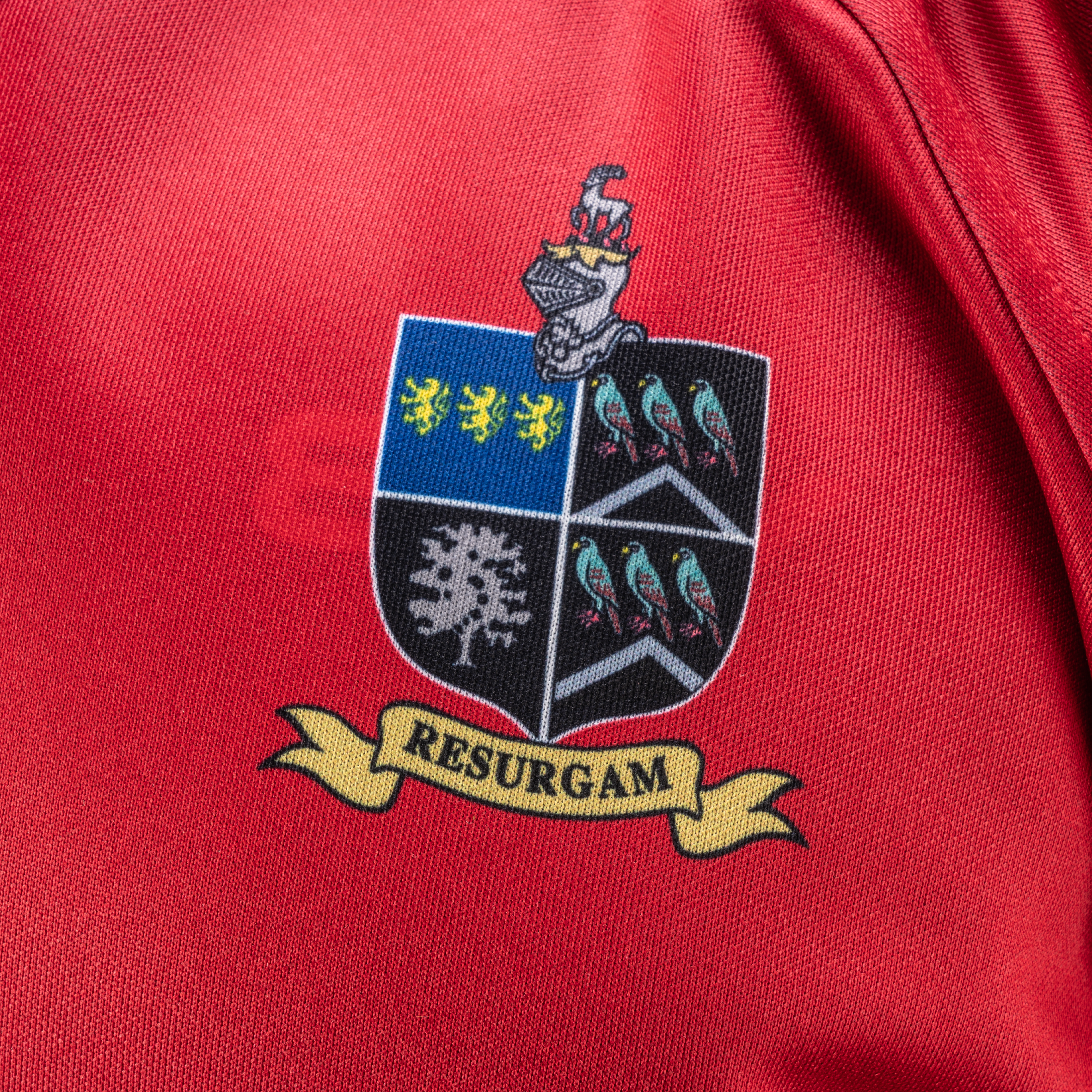 Moyles Court School Reversible Jersey - Youth