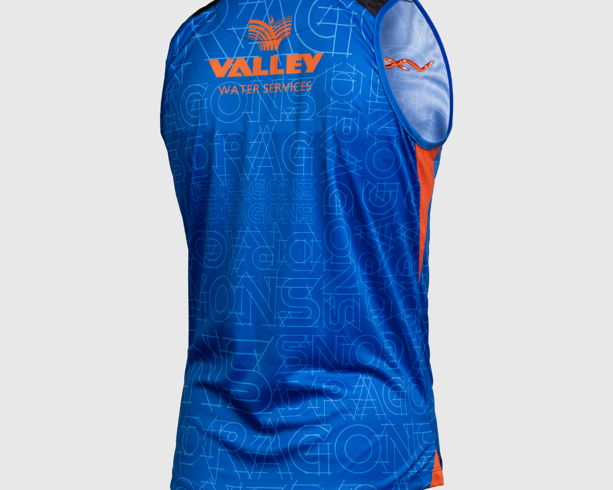 P74495-DRAGONS-RFC-25-26-VERTEX-TRAINING-VEST-ROYAL-BLACK-ALT1.png