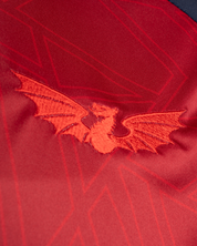 Scarlets 25/26 Vertex Training Tee Deep Red/Navy/Bright Red