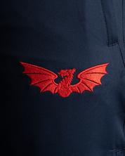Scarlets 25/26 Braca Trackpants Navy