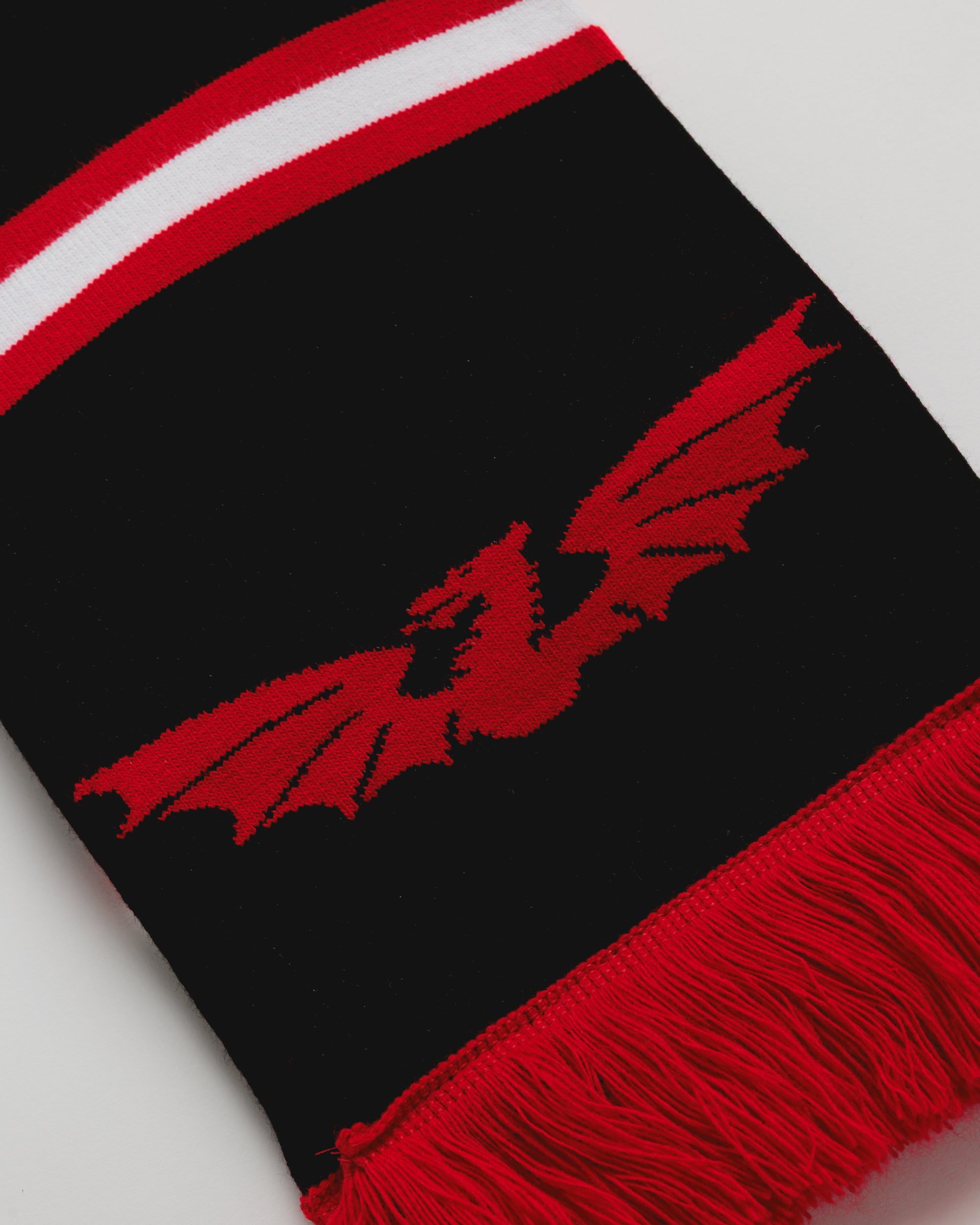 Scarlets 25/26 Black/Red Scarf