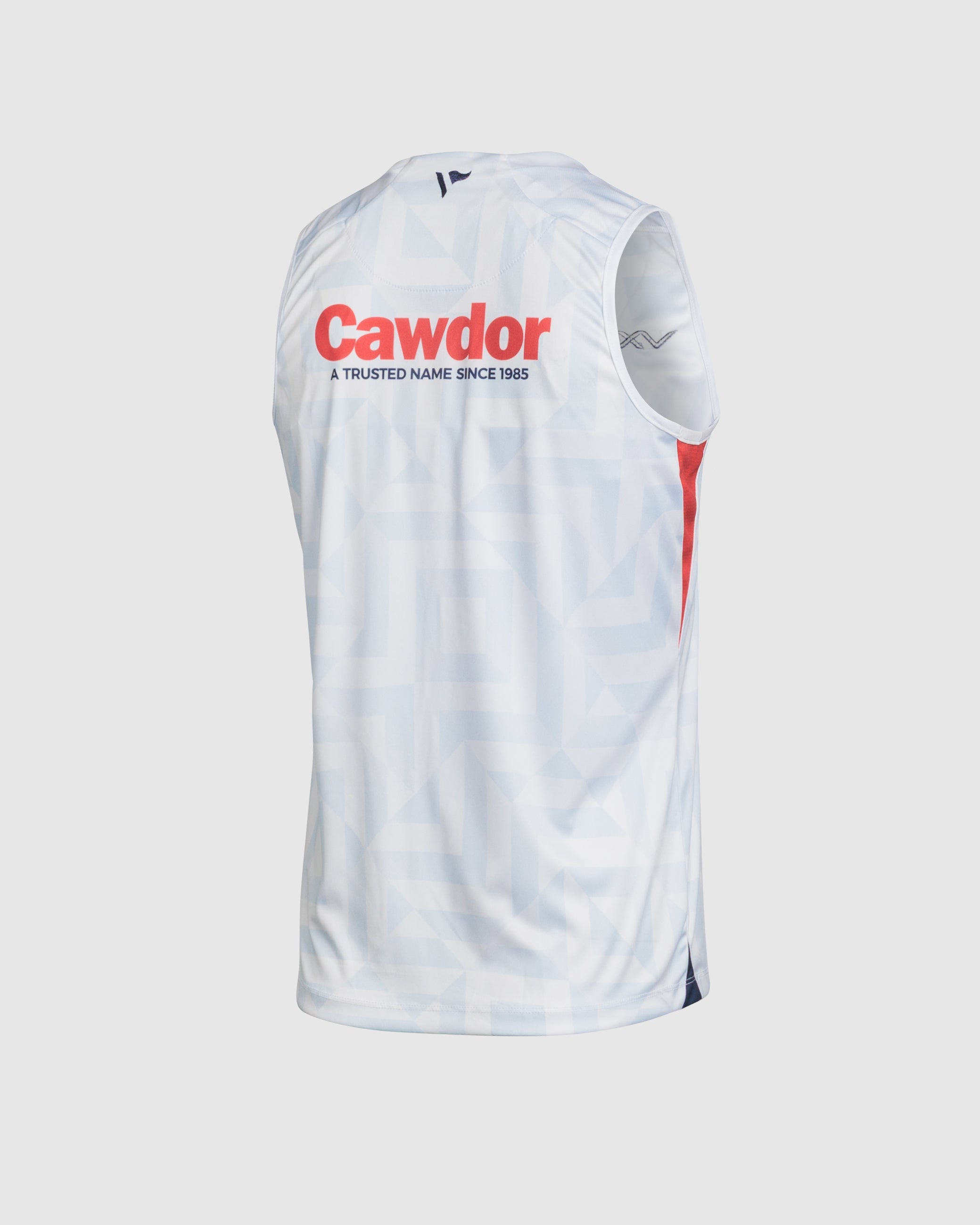 Scarlets 25/26 Euro Vertex Vest