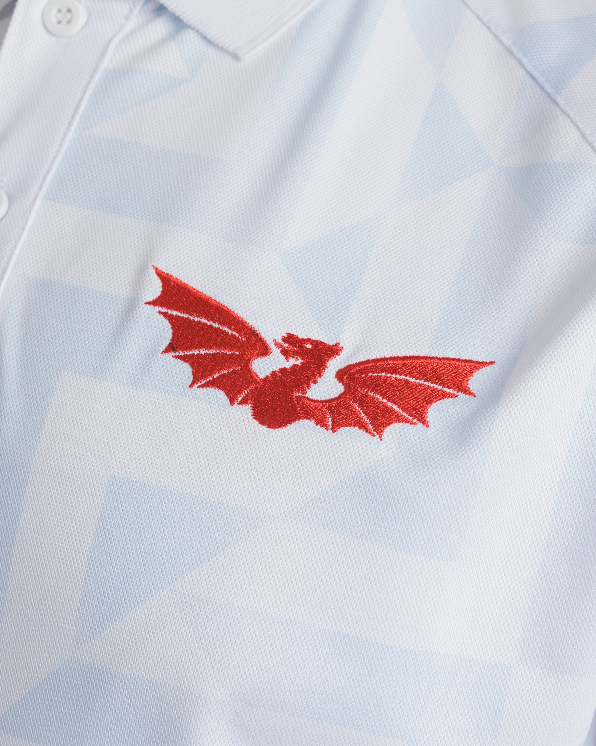 Scarlets 25/26 Euro Vertex Polo