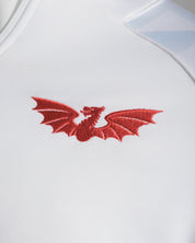 Scarlets 25/26 Euro Vertex Half Zip