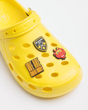 Dragons RFC Shoe Charms