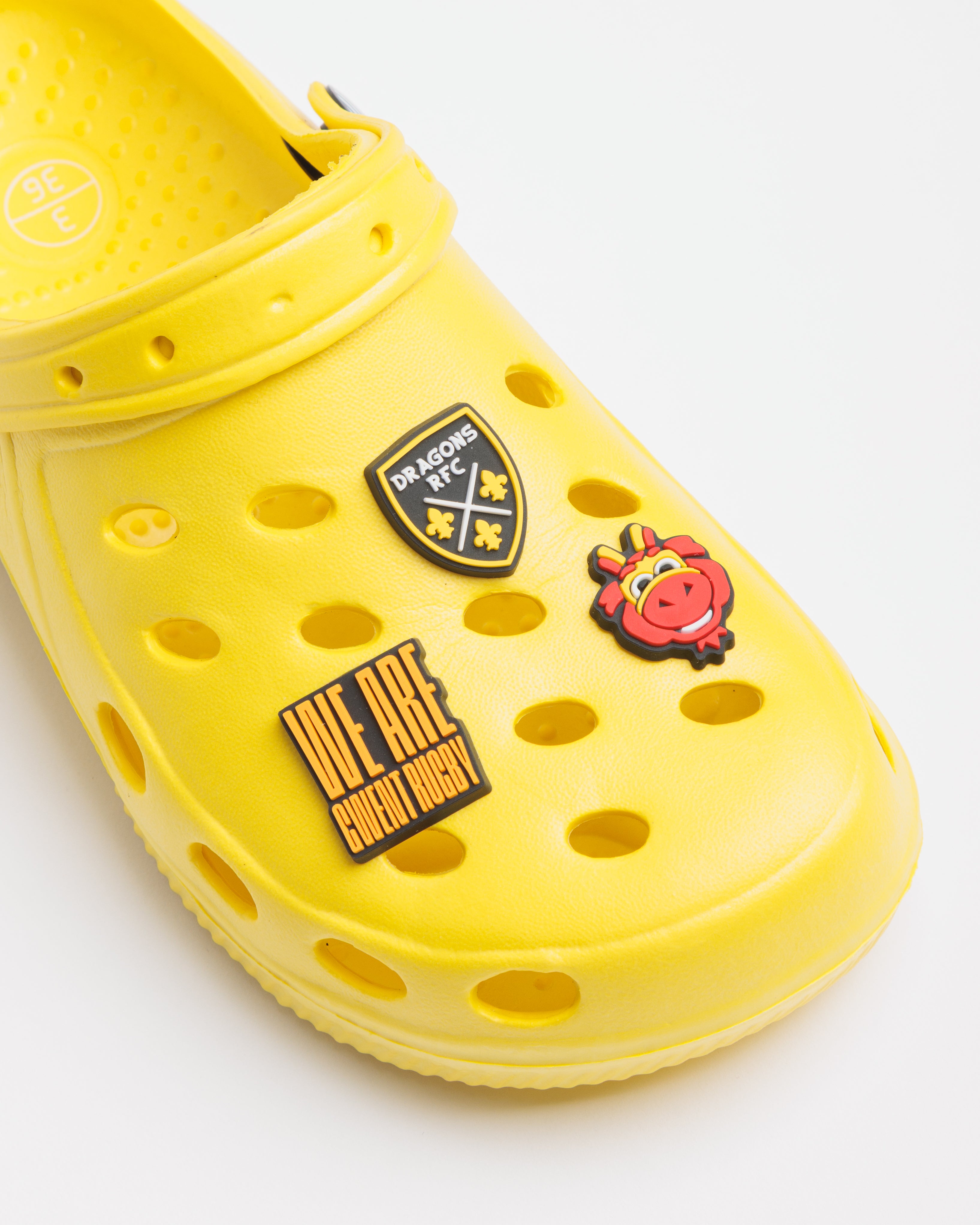 Dragons RFC Shoe Charms