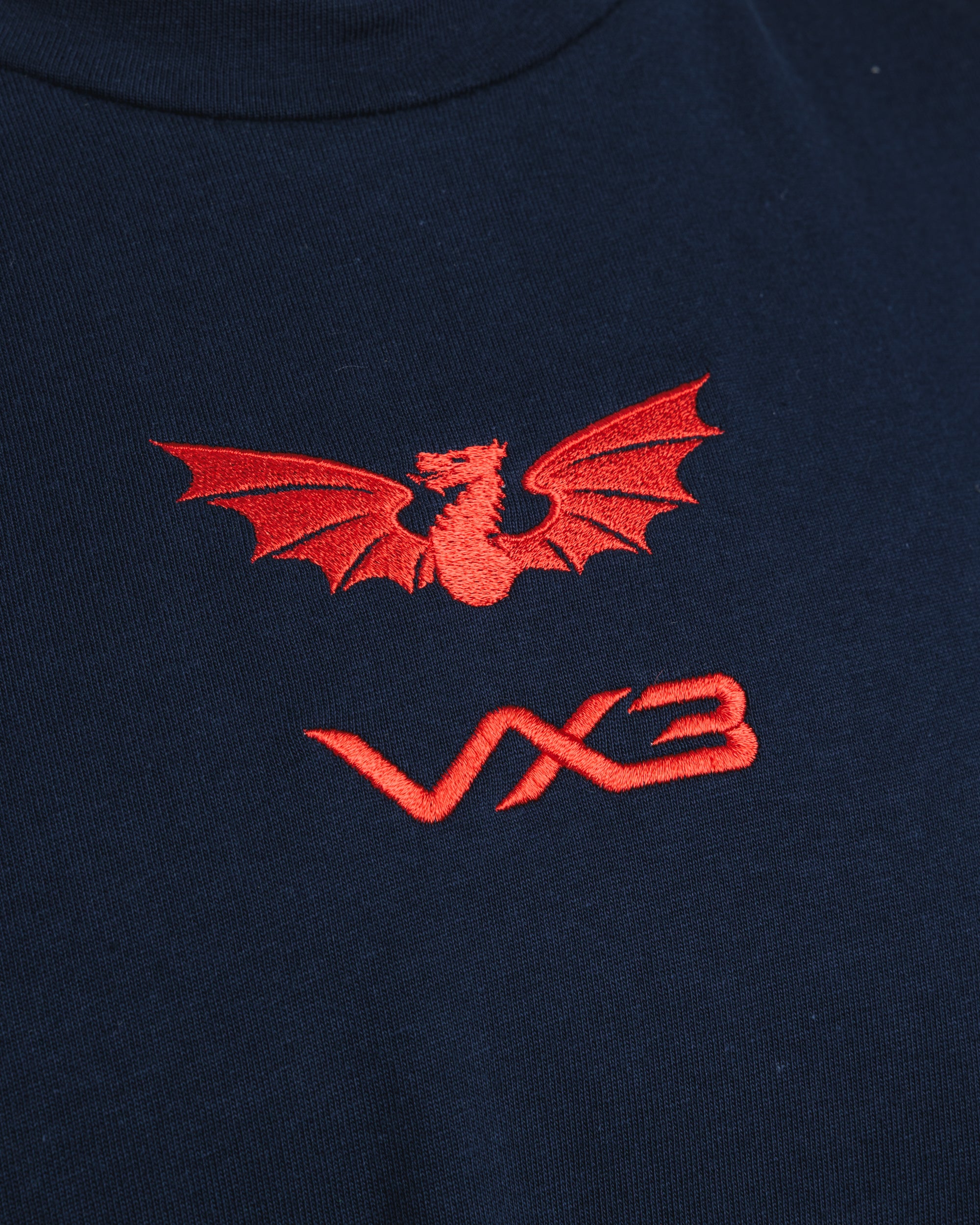 Scarlets 25/26 EST Tee