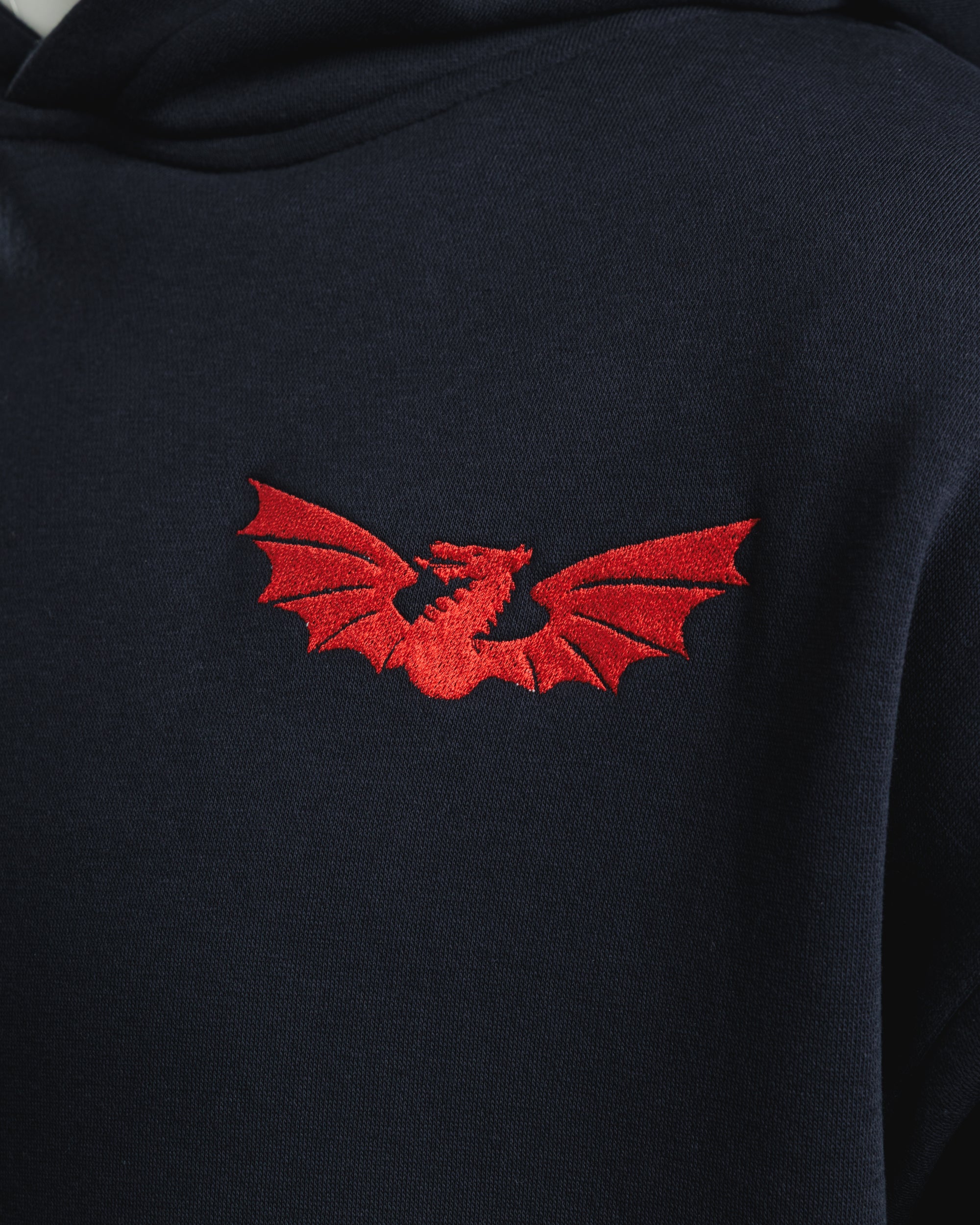 Scarlets 25/26 EST Hoodie Youth