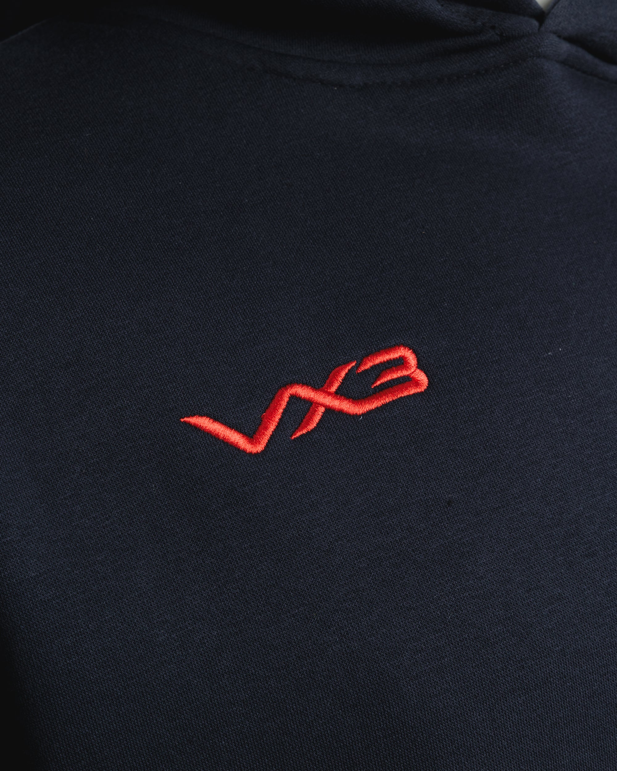 Scarlets 25/26 EST Hoodie Youth