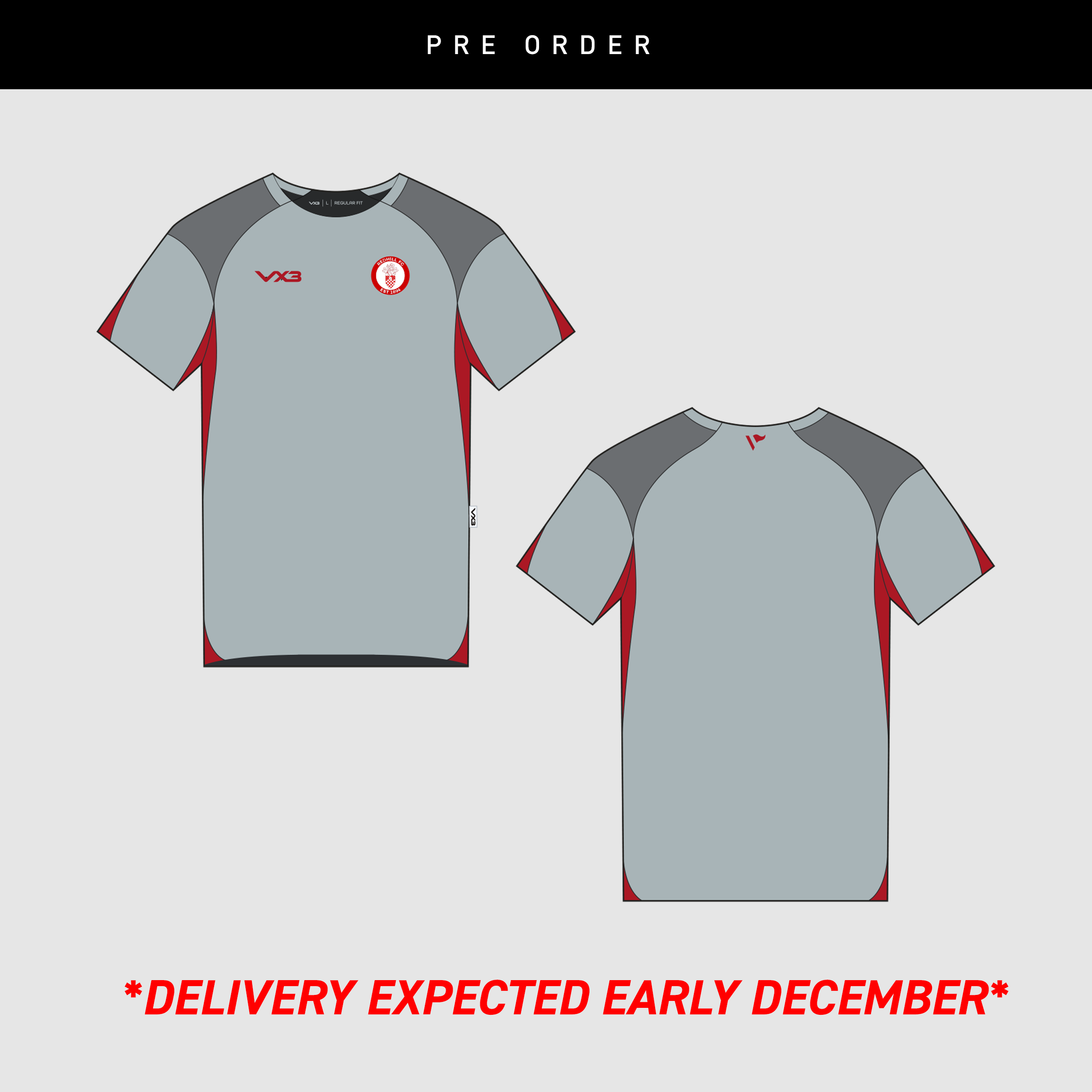 Redhill FC Players 26/27 Ladies Vertex Training Tee