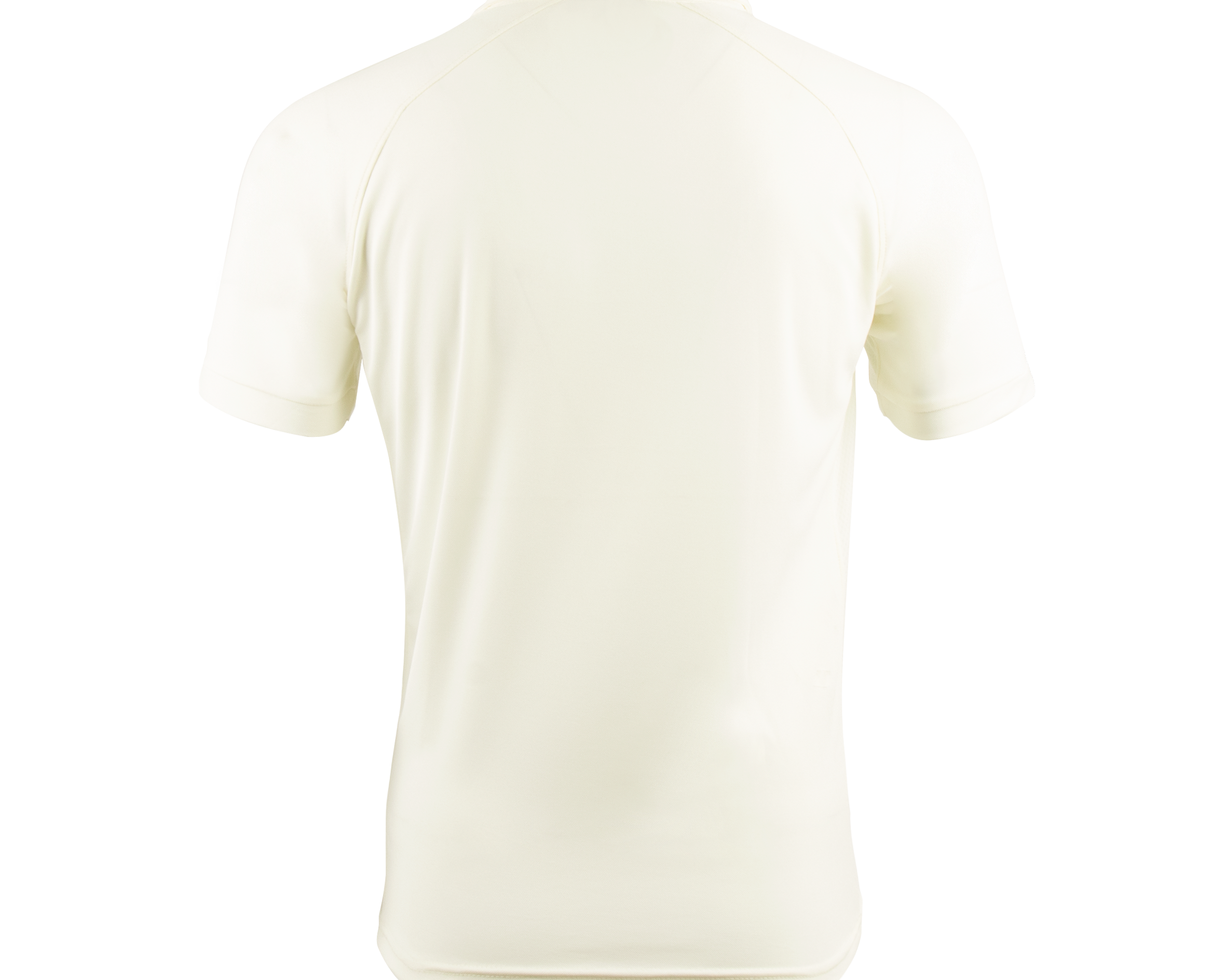SSShirtBack.png