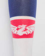Scarlets 26/27 Away Socks