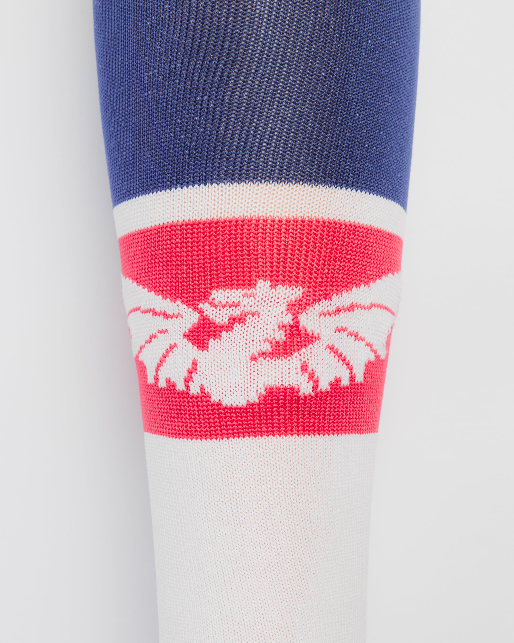 Scarlets 26/27 Away Socks
