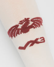 Scarlets 26/27 Third Socks