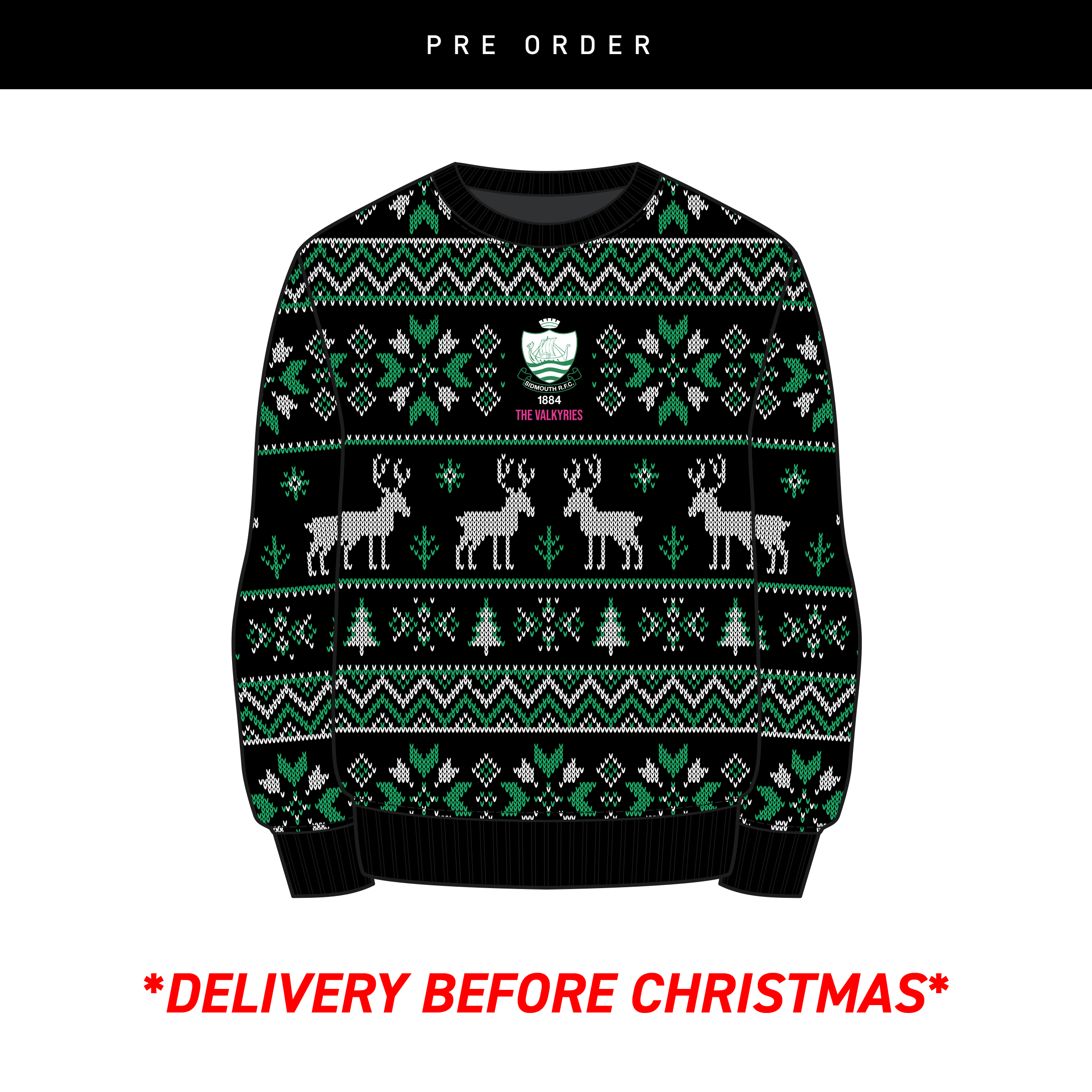 SidmouthRFCValkyriesxmasjumper_0ac8f4a9-fe3a-4689-9e1d-36c0e8836a9f.png