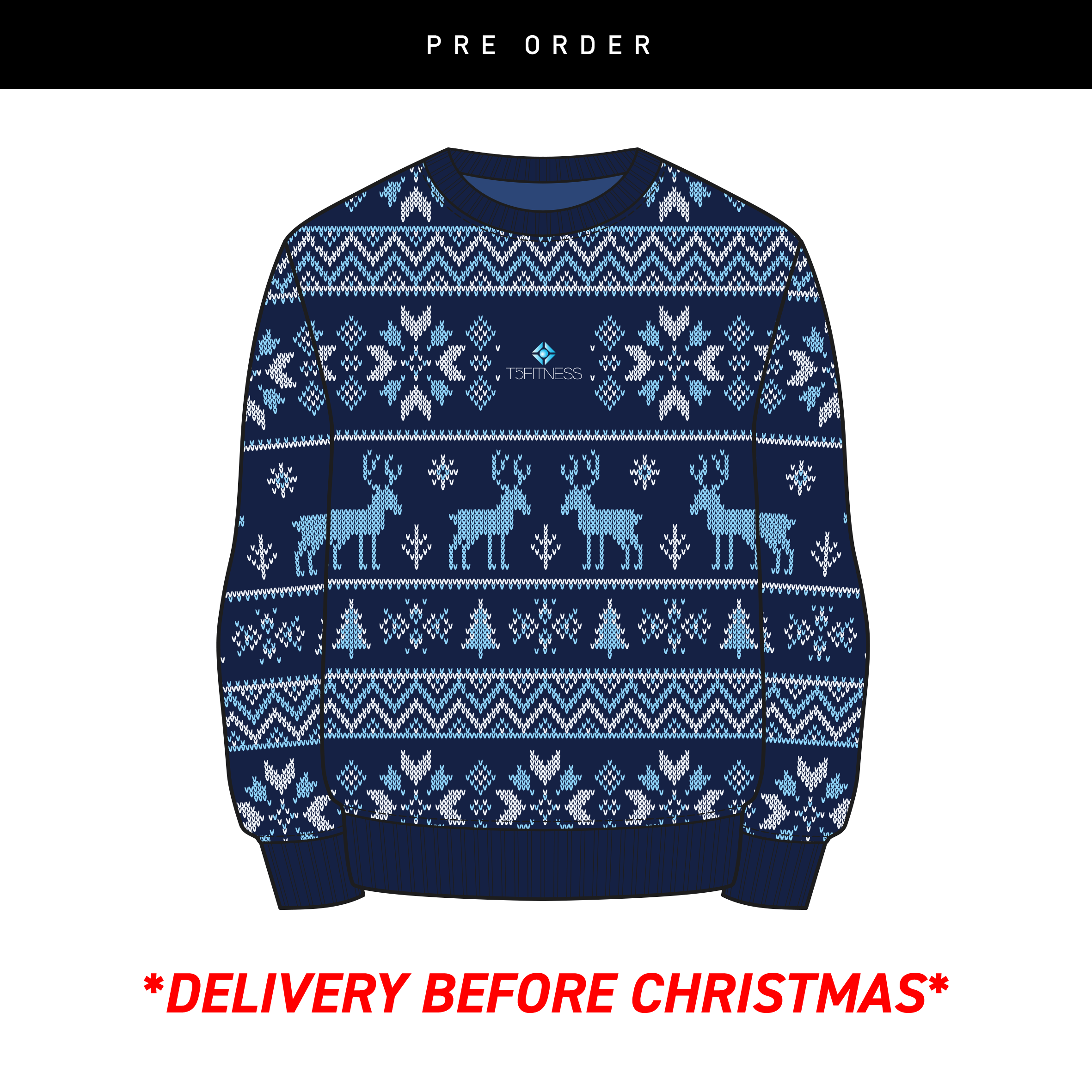 T5FitnessNavyxmasjumper.png