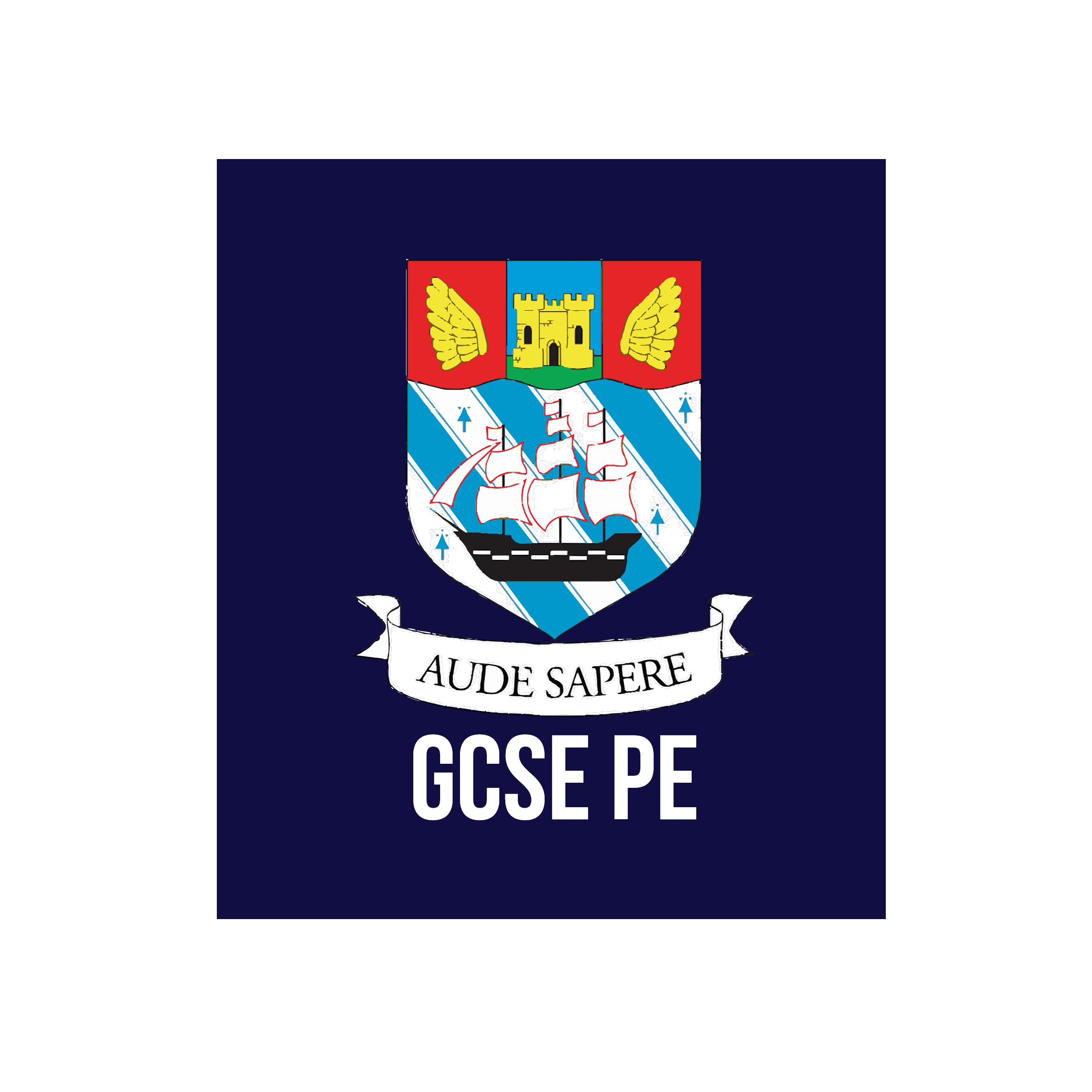 Torquay-Grammar-School-Girls-GCSE-PE-Hoodie_2.png