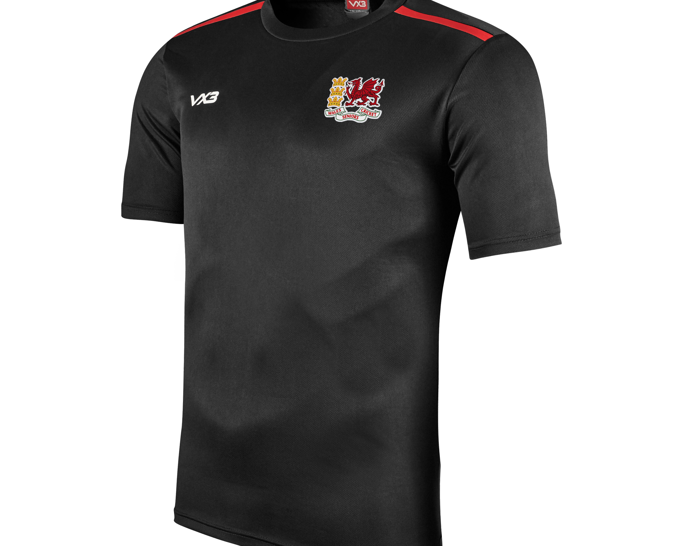 Wales-Cricket-Black-Tee_6d46db67-8272-4cb8-a044-1301f9738b29.png