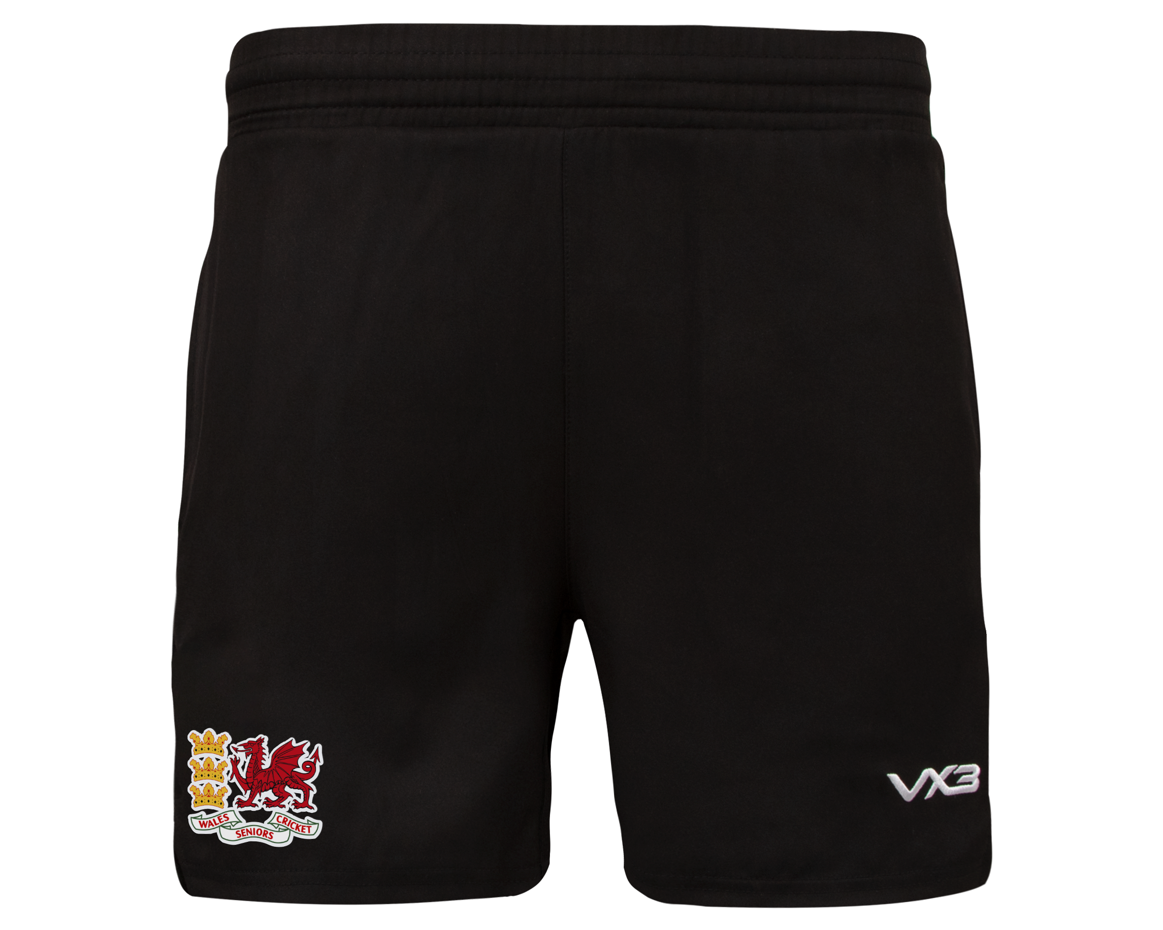 Wales-Cricket-Ludus_a77ad62f-76f2-4ab3-990a-93e052829a12.png