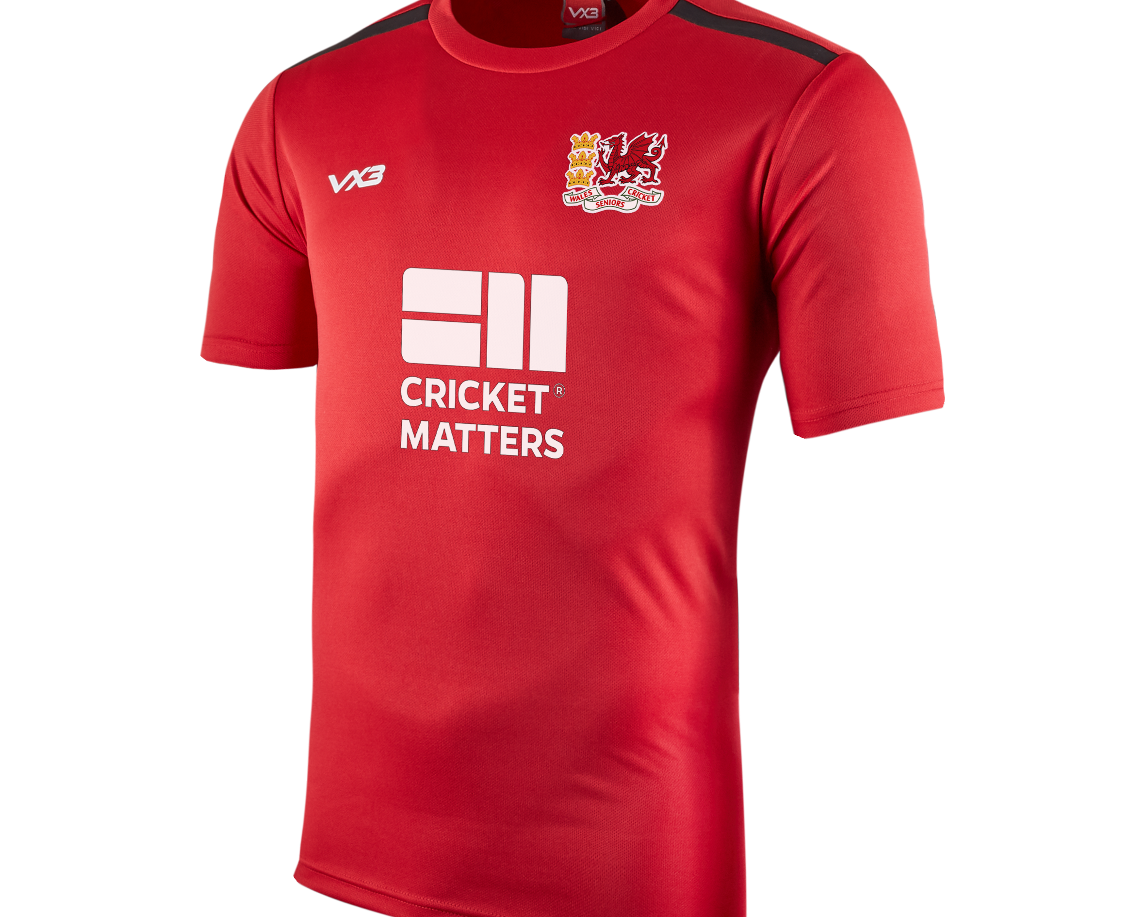 Wales-Cricket-Tee.png